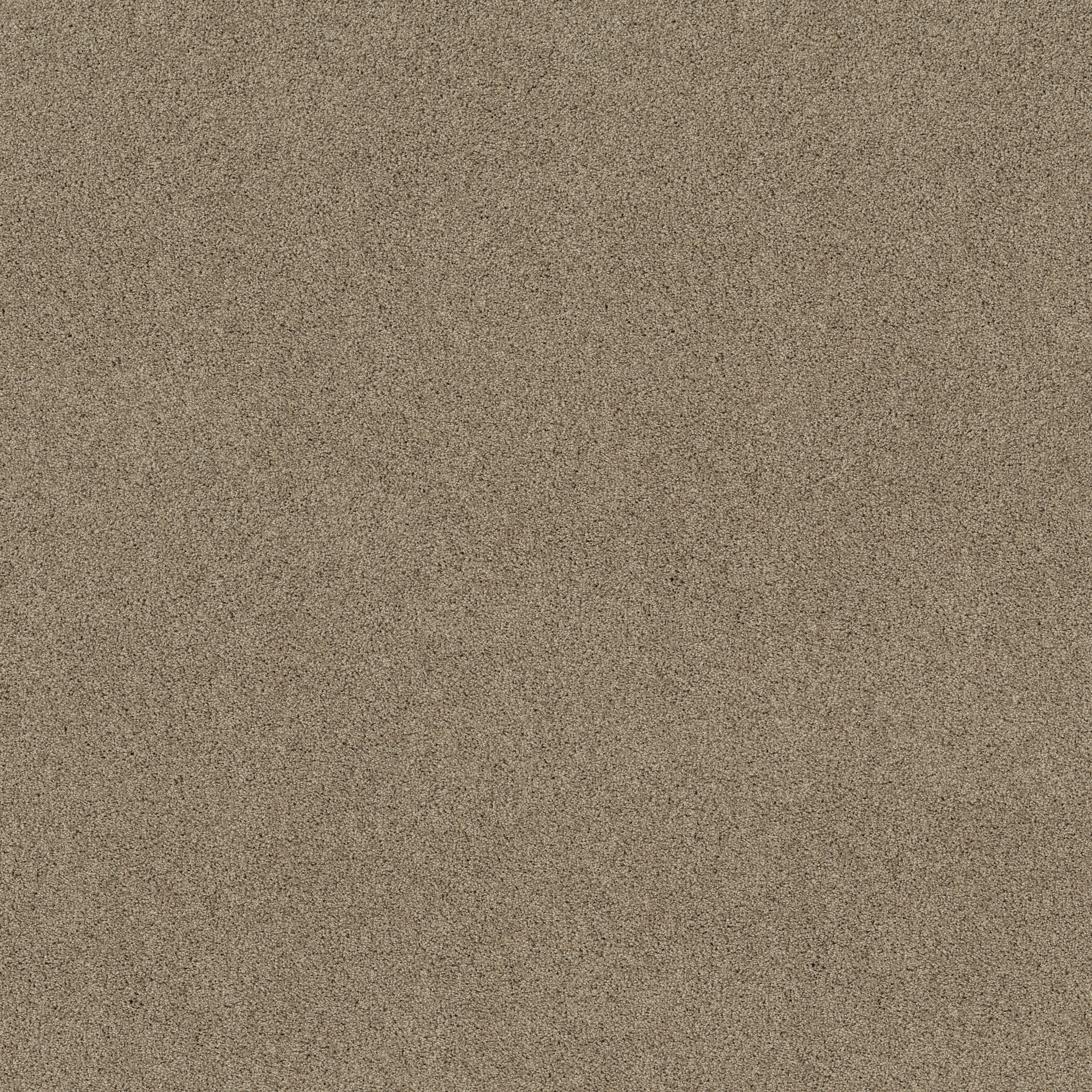 ACADIA PARK CANOE MAIN