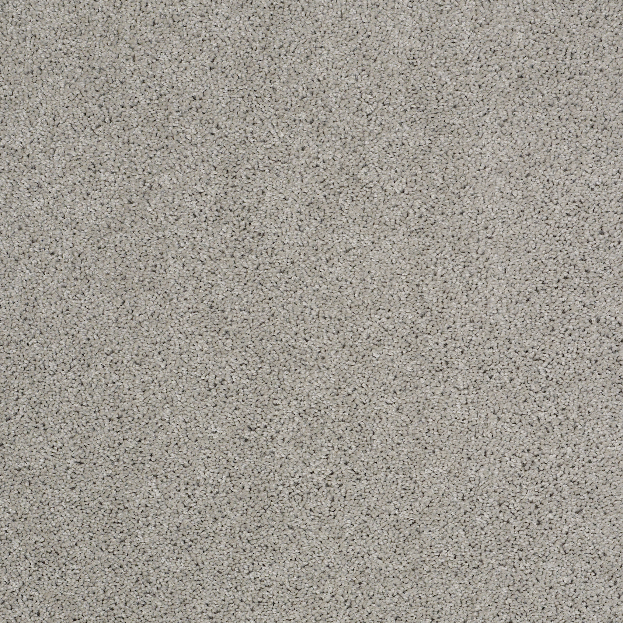 BEST BASICS SEA SALT MAIN