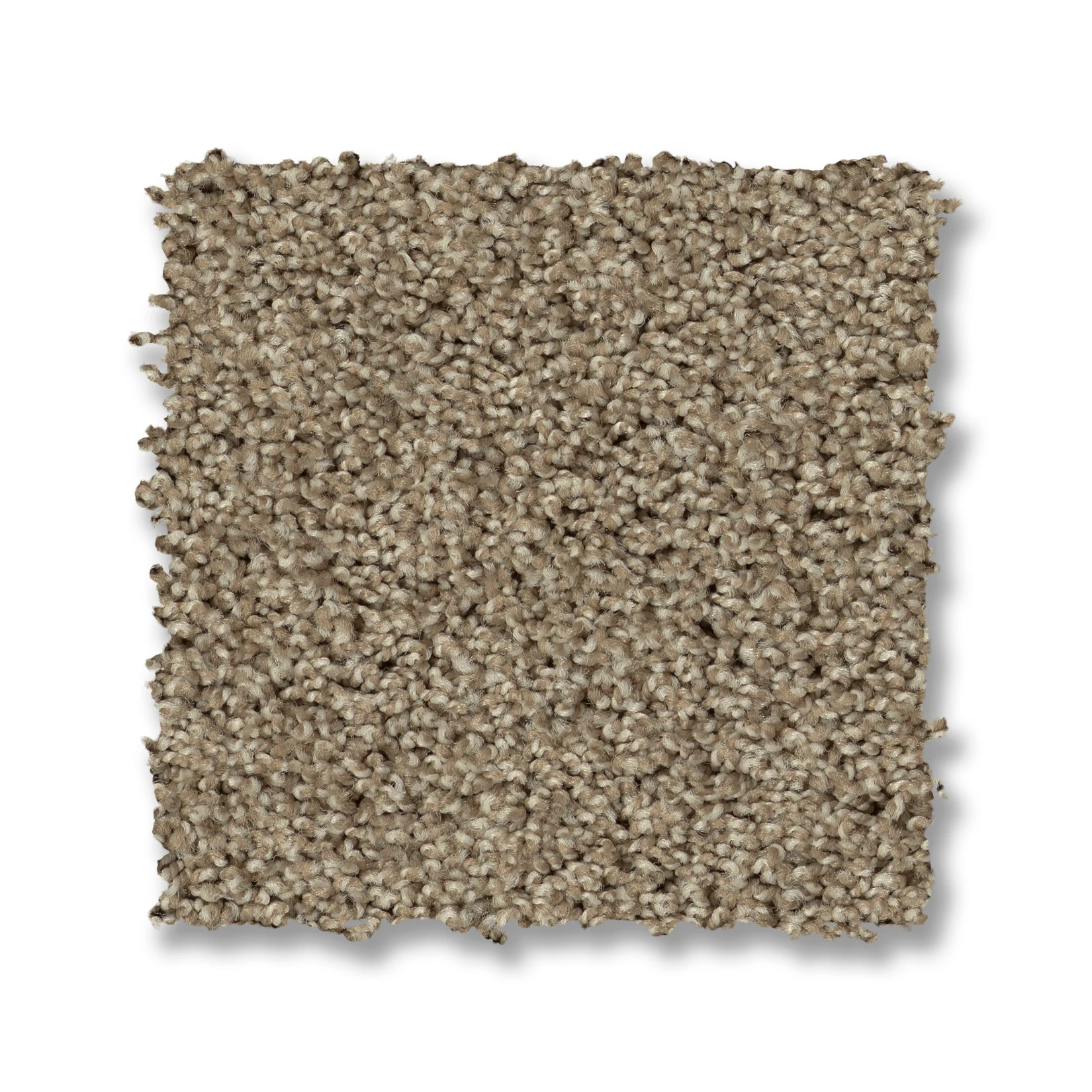 ACADIA PARK CANOE SWATCH