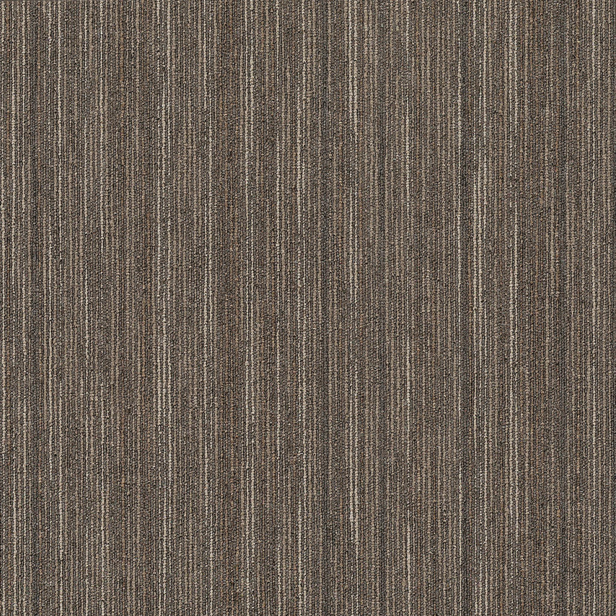 INTELLECT-54845-SMARTS-45710-main-image