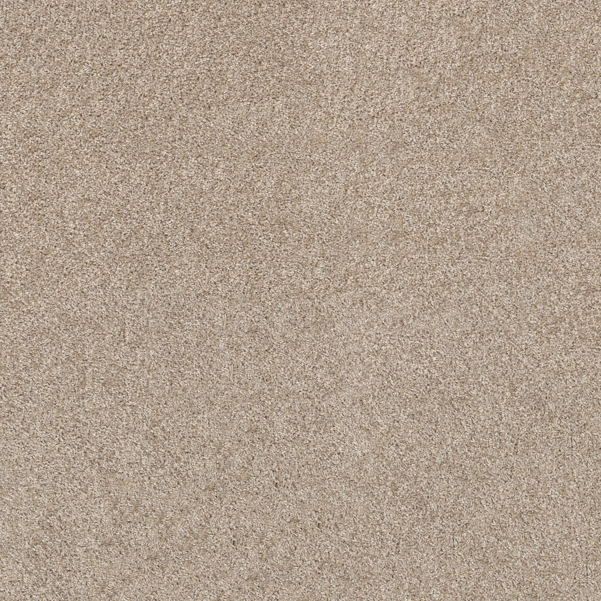 SHAKE IT UP (A) CREAMY SILK MAIN