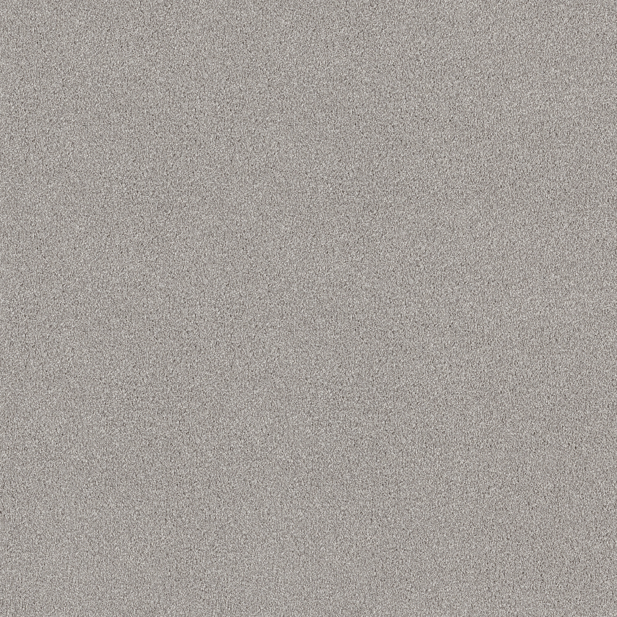 TONAL COMFORT I MORNING DEW MAIN