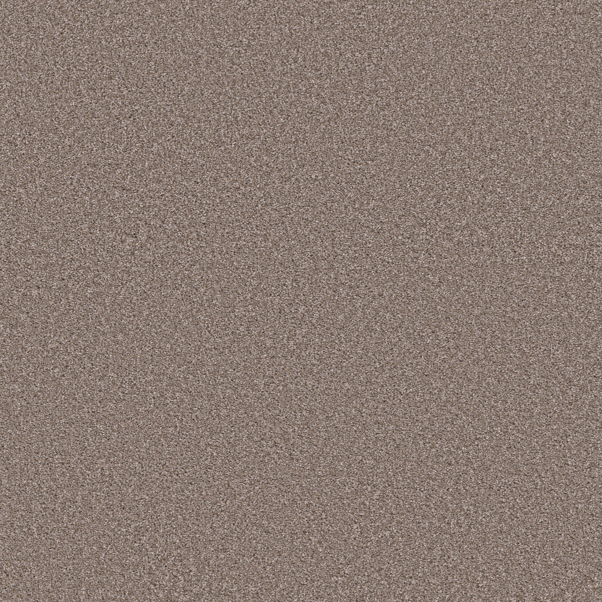 TRUSOLUTIONS II TAUPE DREAM MAIN