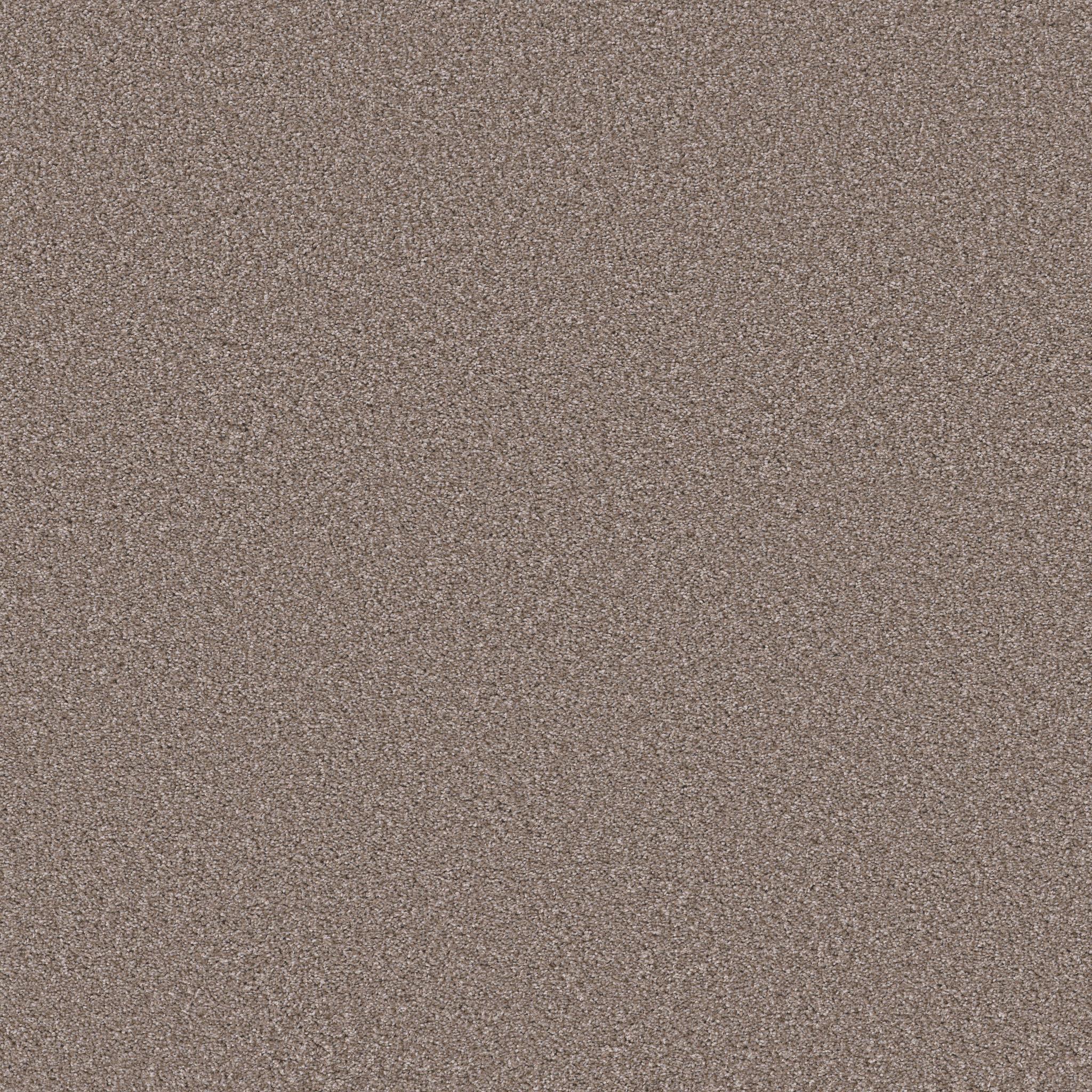 Trusolutions II in Taupe Dream