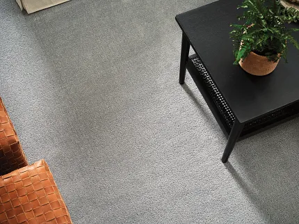 Modern living room with gray carpet and brown leather chairs - Shaw Floors soft surface flooring Soft surface flooring in a modern living room with gray carpet, brown leather chairs, and a black coffee table with a plant
