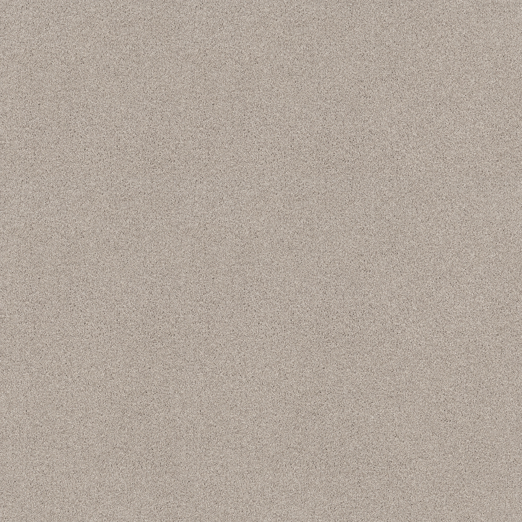 TONAL COMFORT I NEED A HUG MAIN