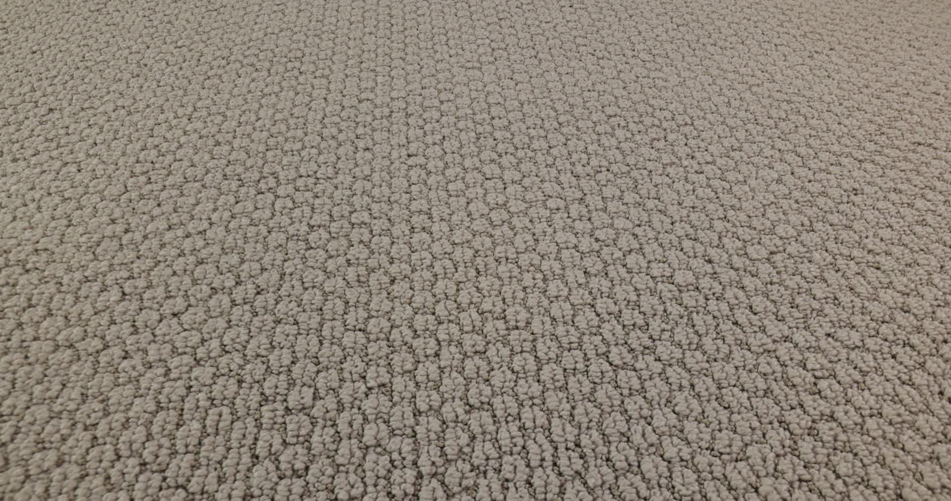 AG In The Loop MEADOWS 360PROD