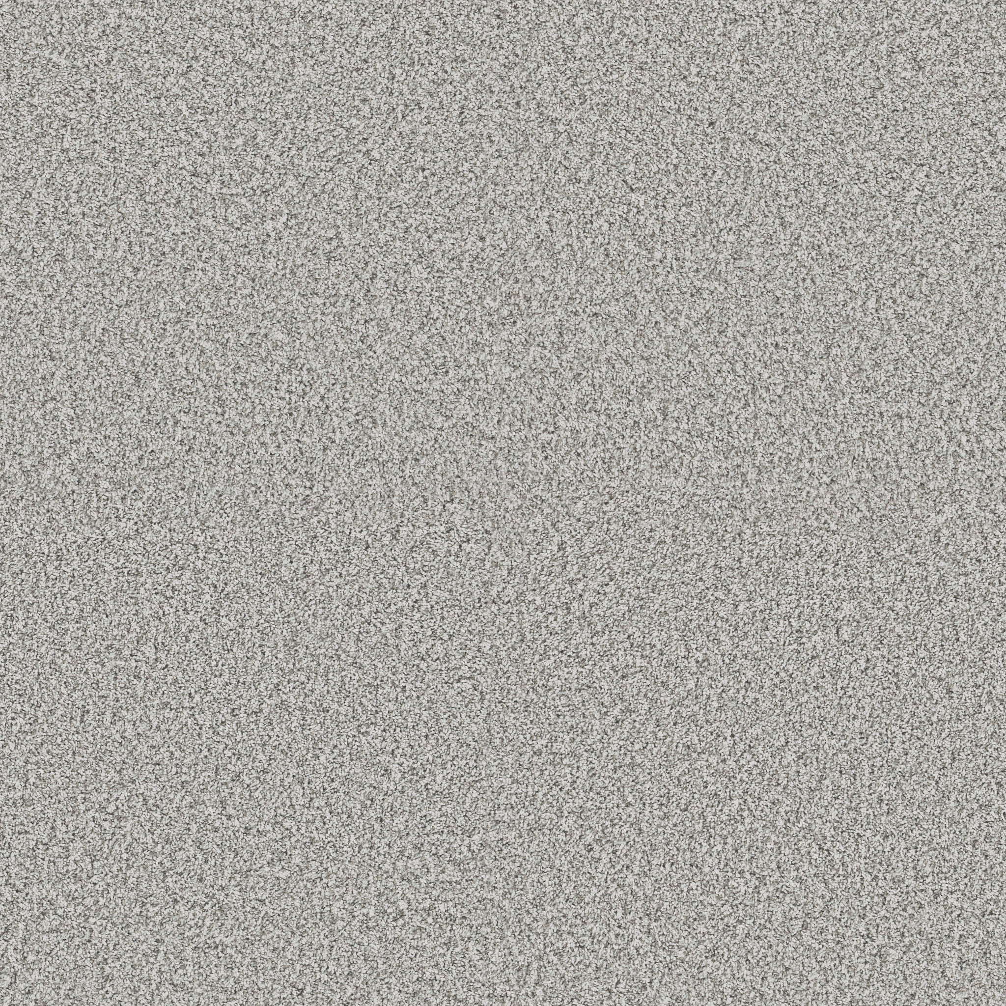 YES YOU CAN I 12' FROZEN MAIN