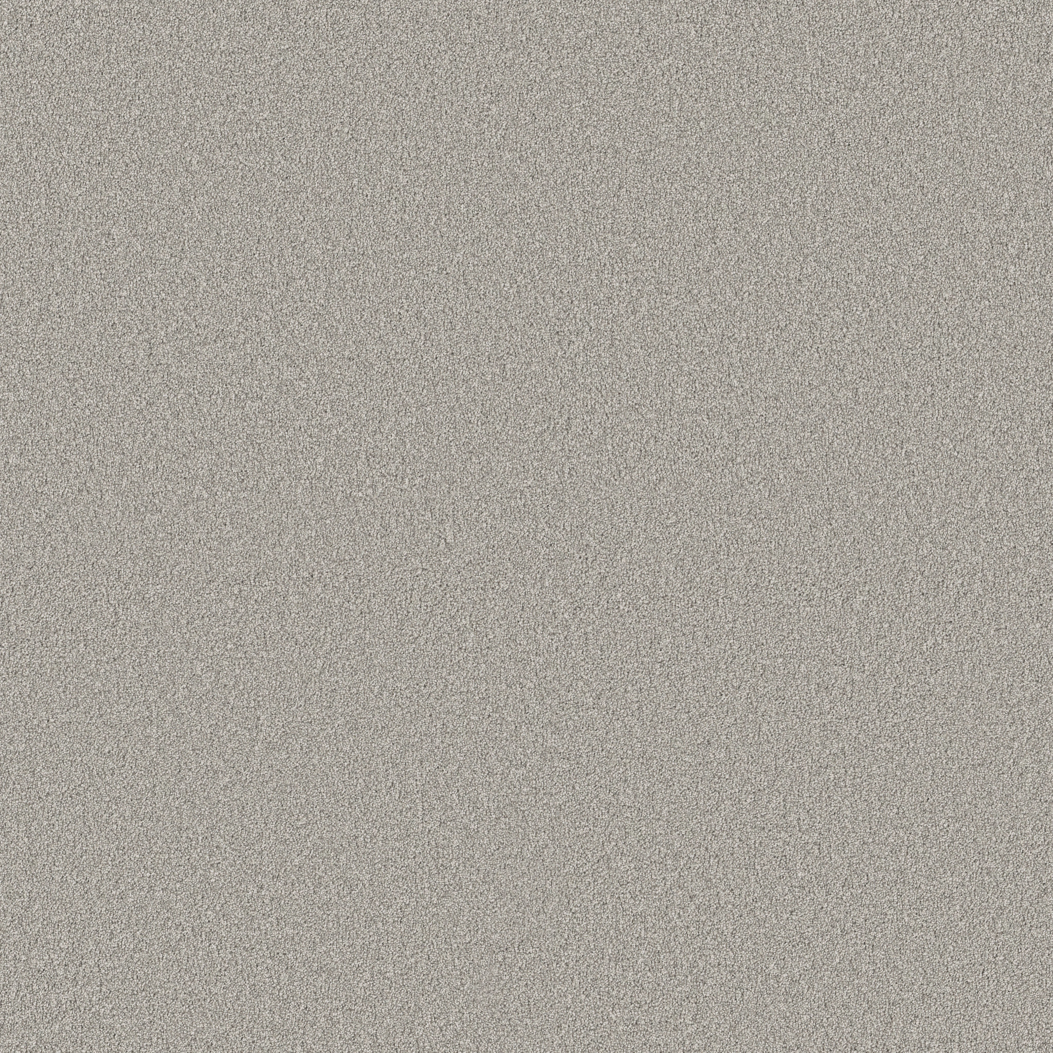 CLASSIC TONE MAGNETIC MAIN