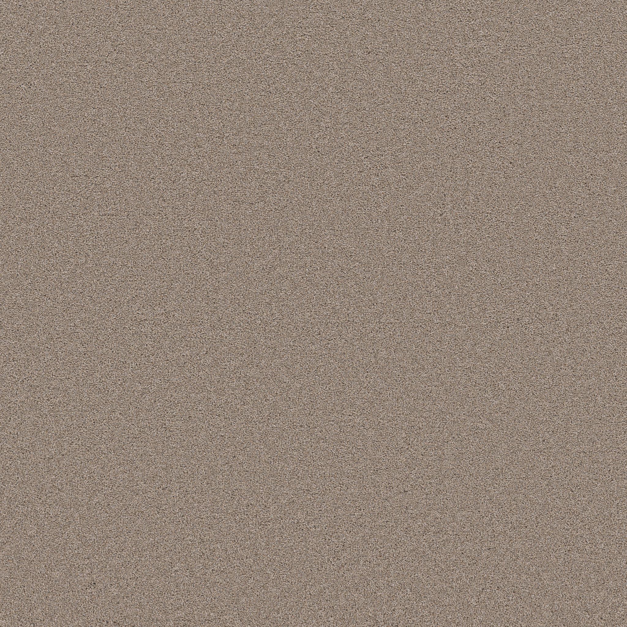 BLENDED TOUCH I WOOL BLEND MAIN