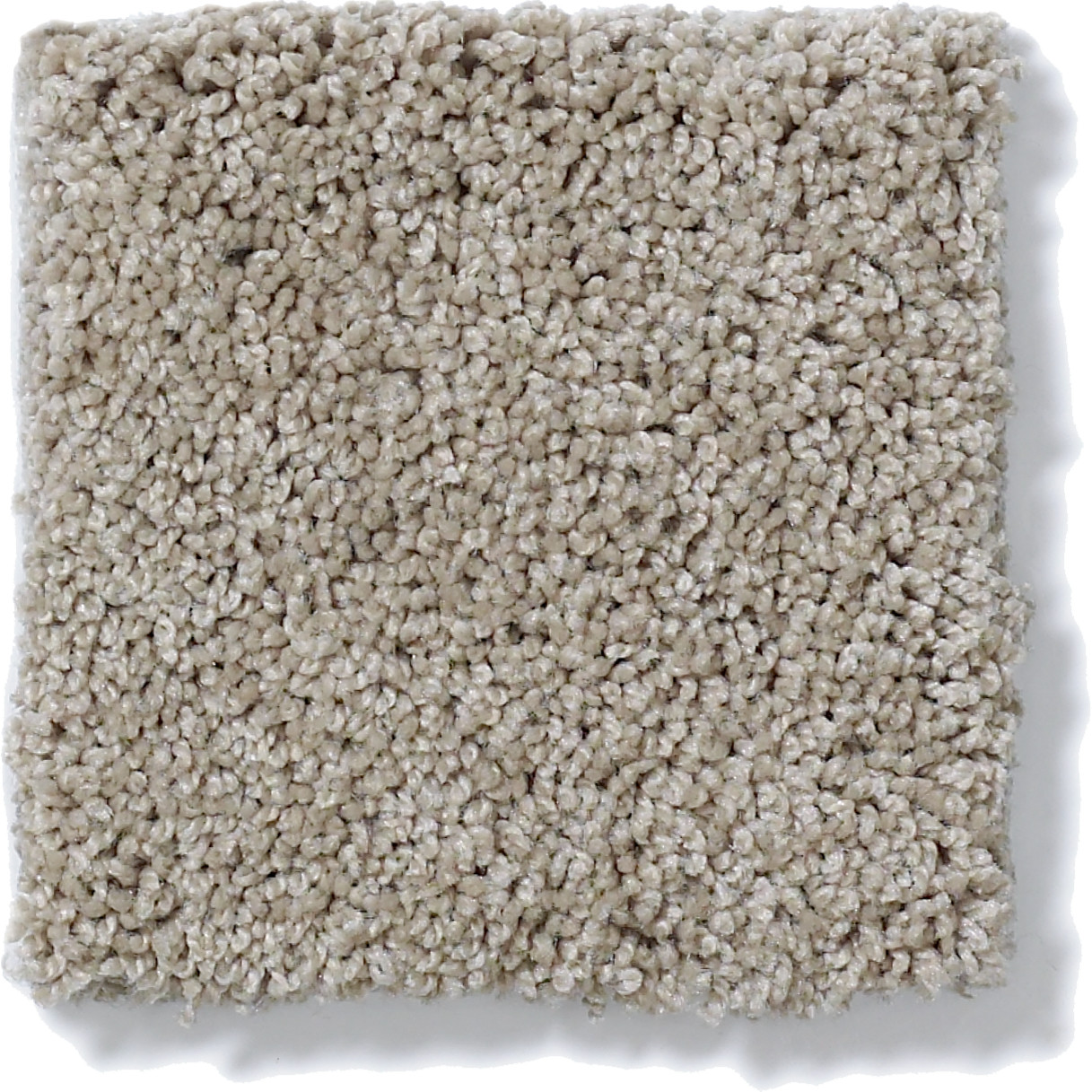 AG TIMELESS CACHET SWATCH