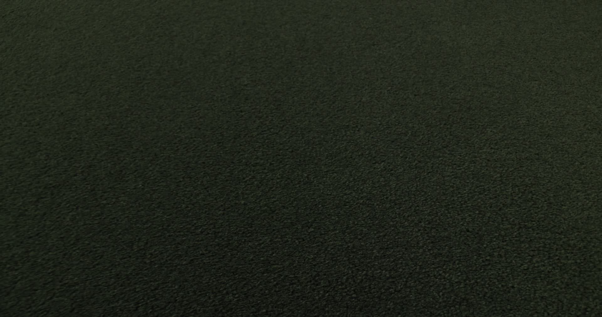 FINERY PALM LEAF 360PROD