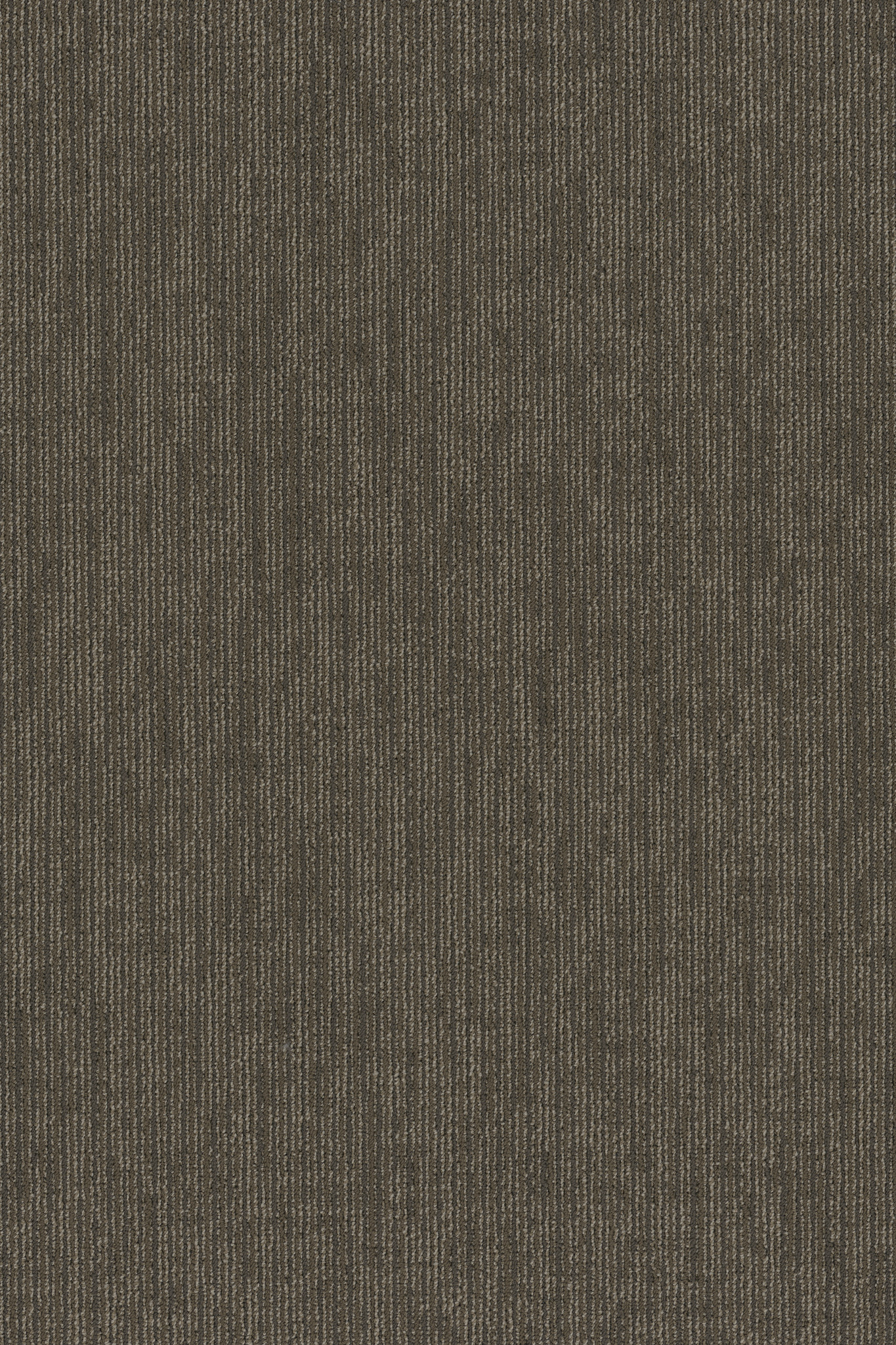 FUNCTION-54908-CONSERVATIVE-00700-main-image