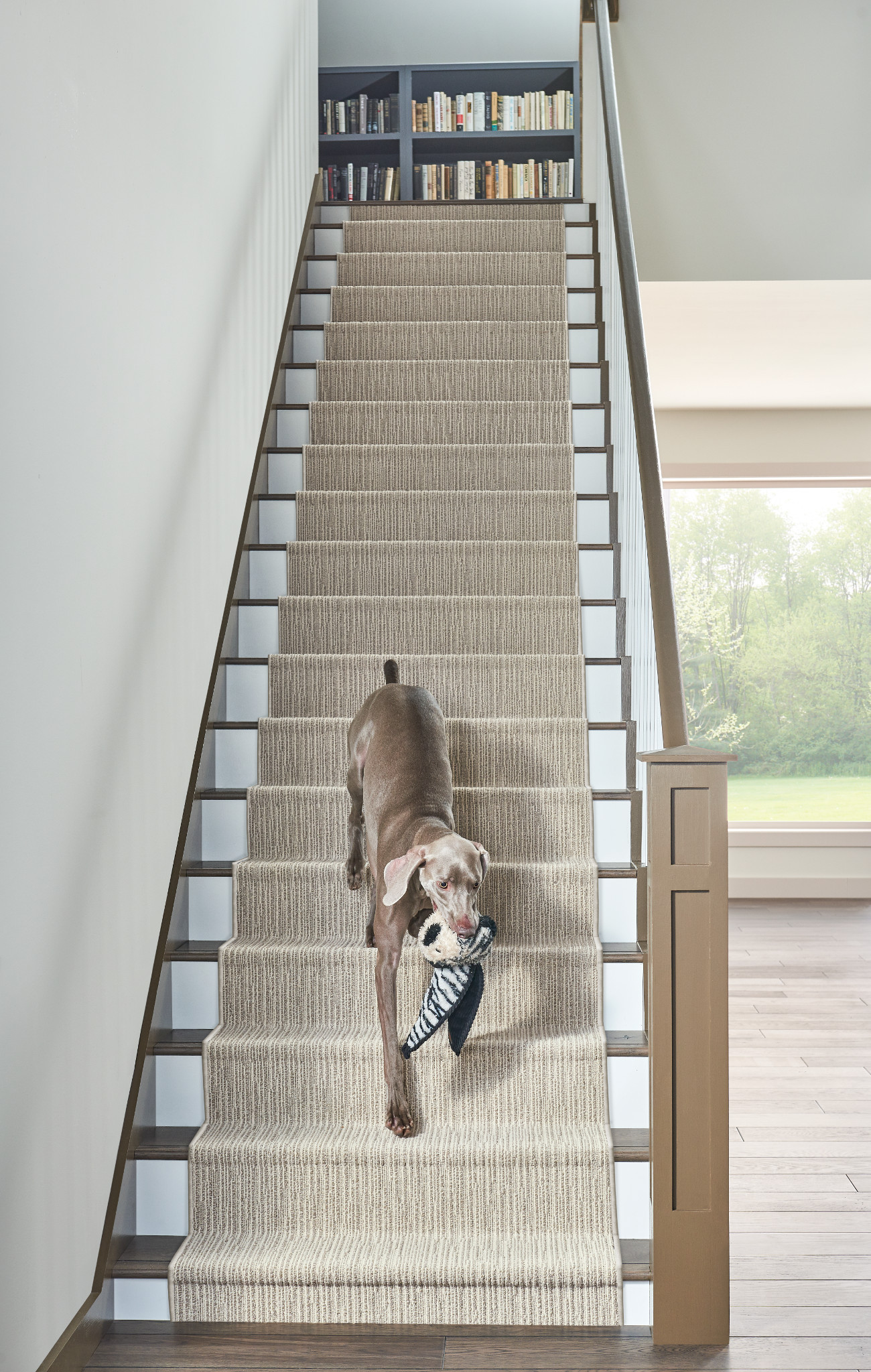 CHASE BRIARWOOD StaticImage01