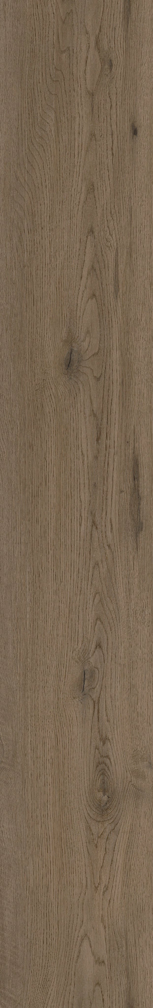 CLEVELAND OAK 86 1TO1