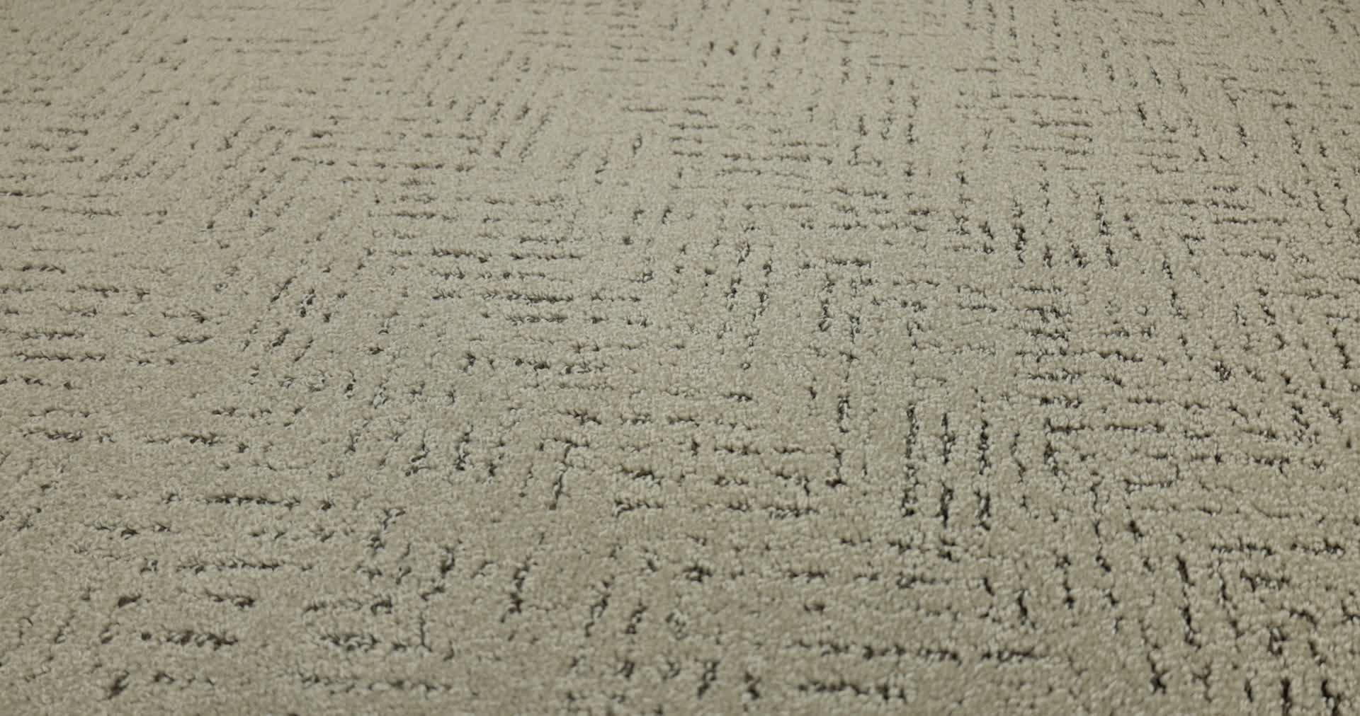 FAVOURED PATH CAMEO 360PROD