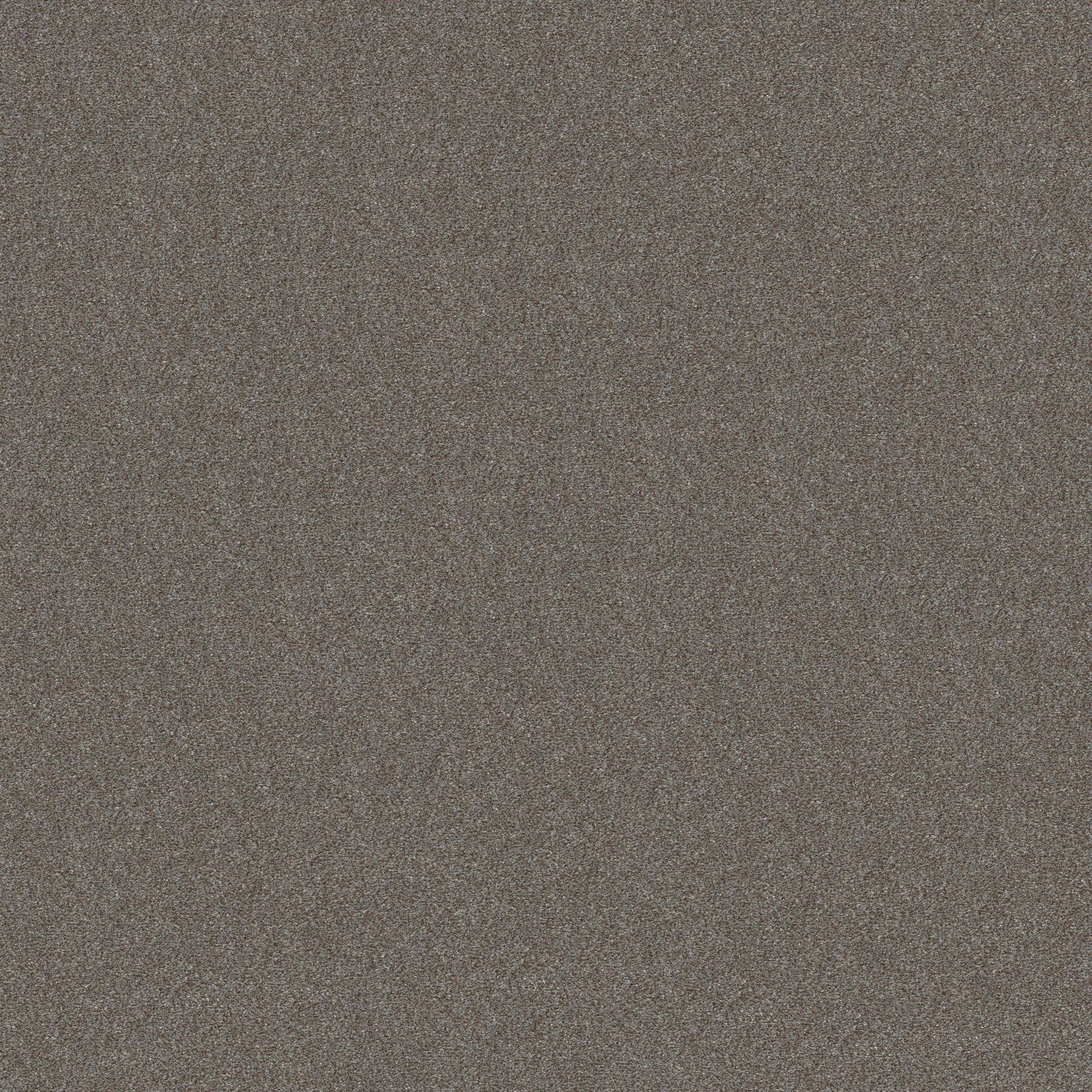 WITHOUT LIMITS III TUNDRA MAIN