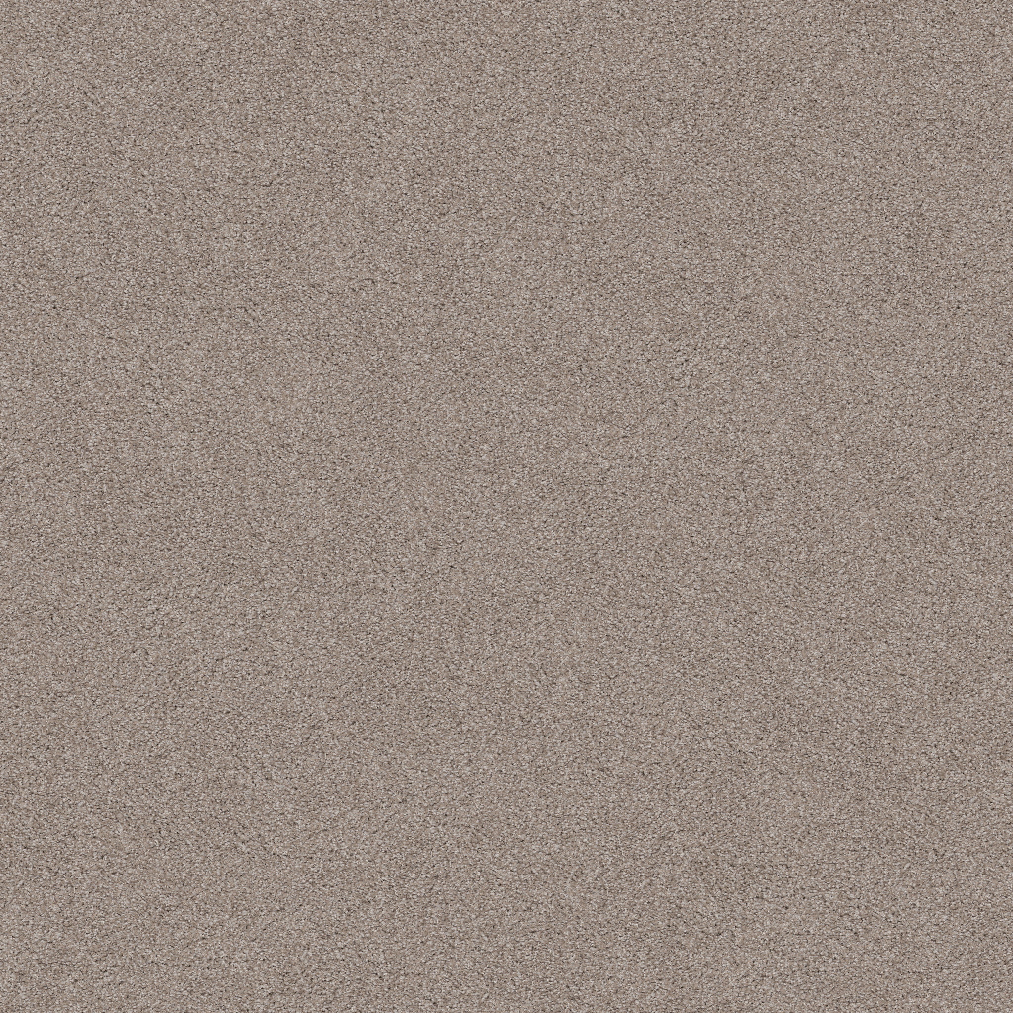 SWEET INSPIRATION I KHAKI MAIN