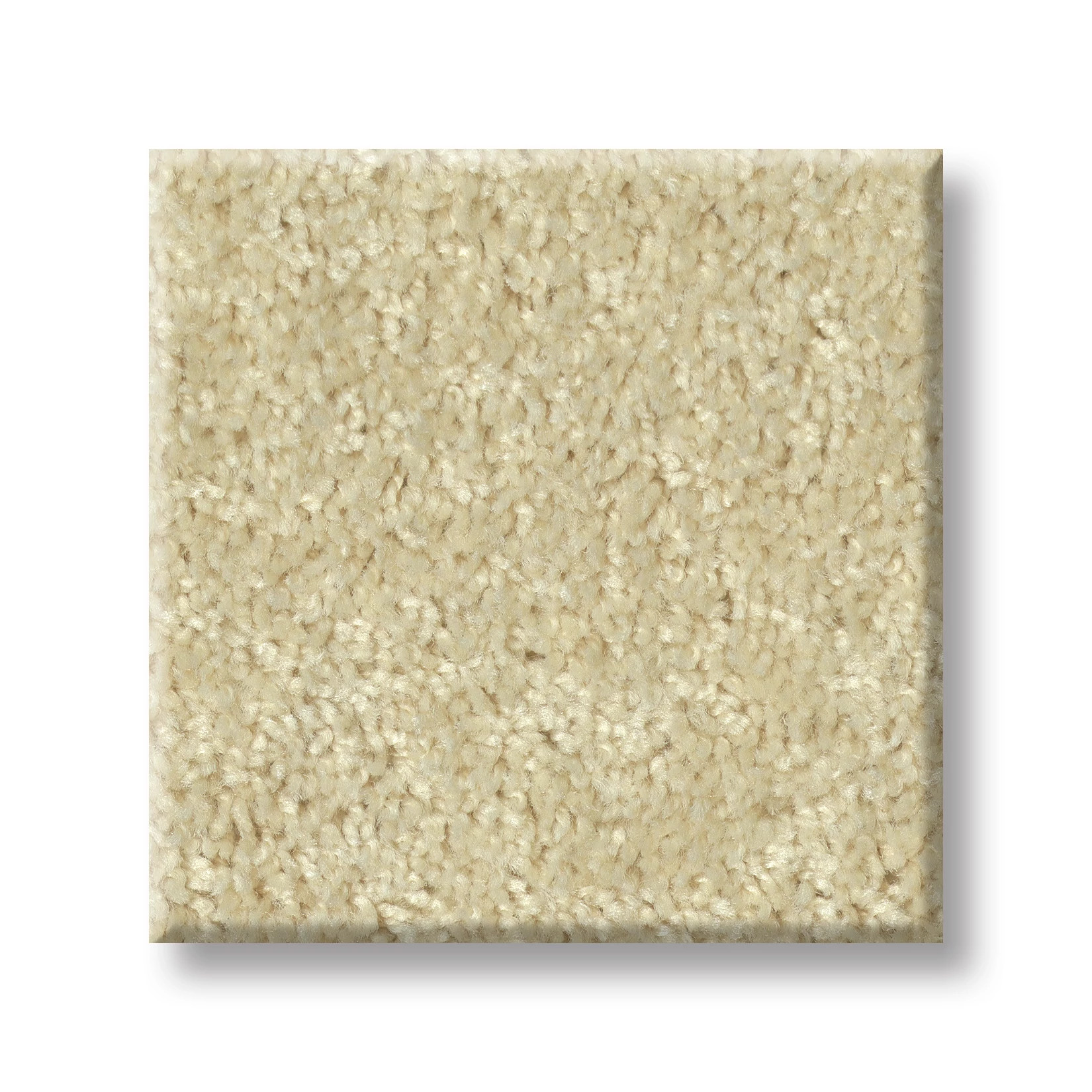 ALL STAR WEEKEND III 15' BUTTER CREAM SWATCH