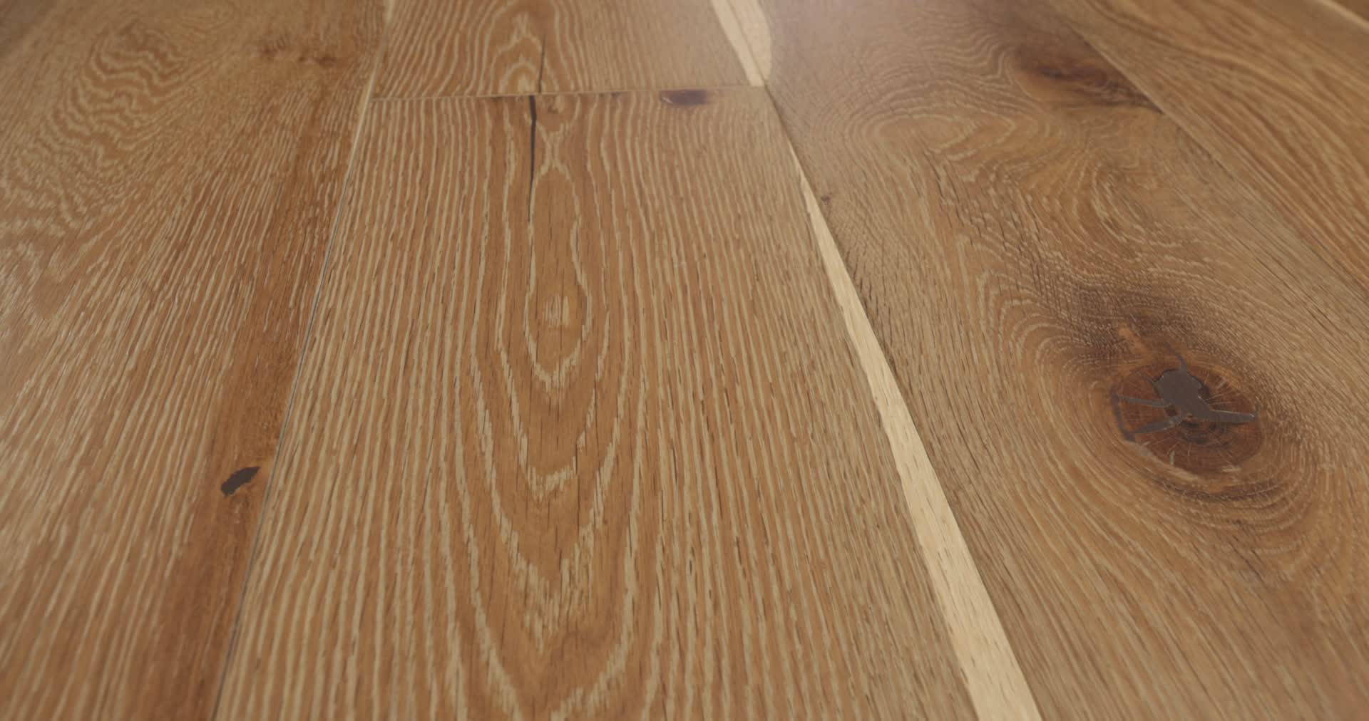 EXPRESSIONS WATERCOLOR 360PROD