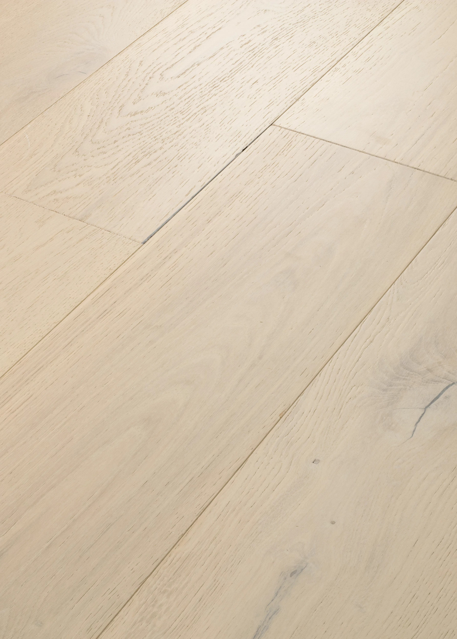 EXPRESSIONS 9.5" ALLEGORY ANGLED