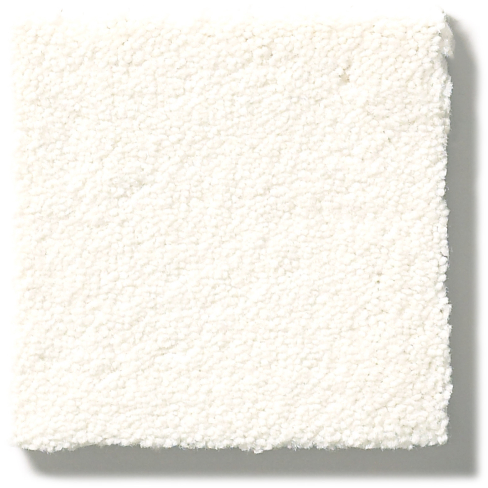 PERFECT CHOICE CLASSIC SWATCH