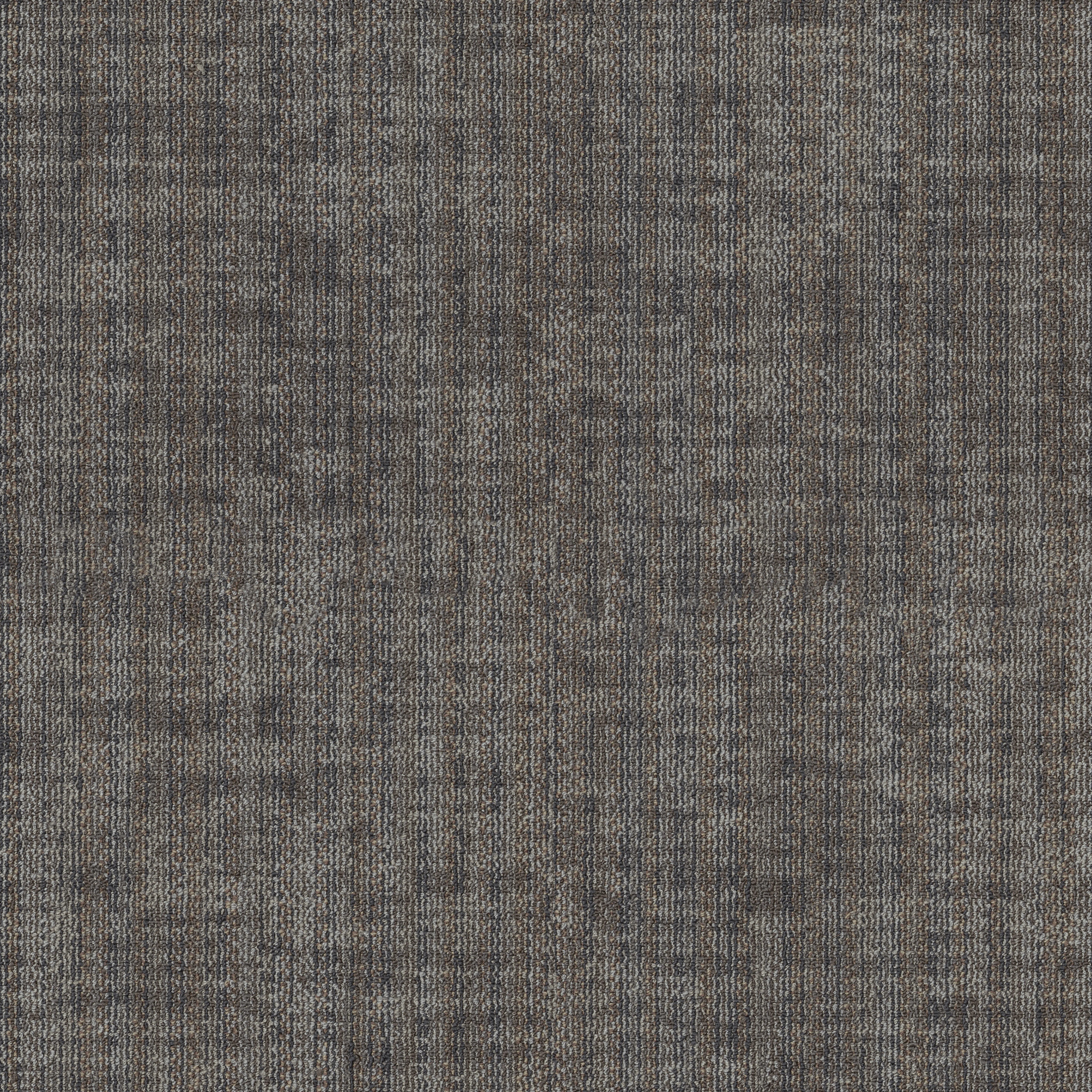 TERRENA-BROADLOOM-55018-DWELLING-00510-main-image