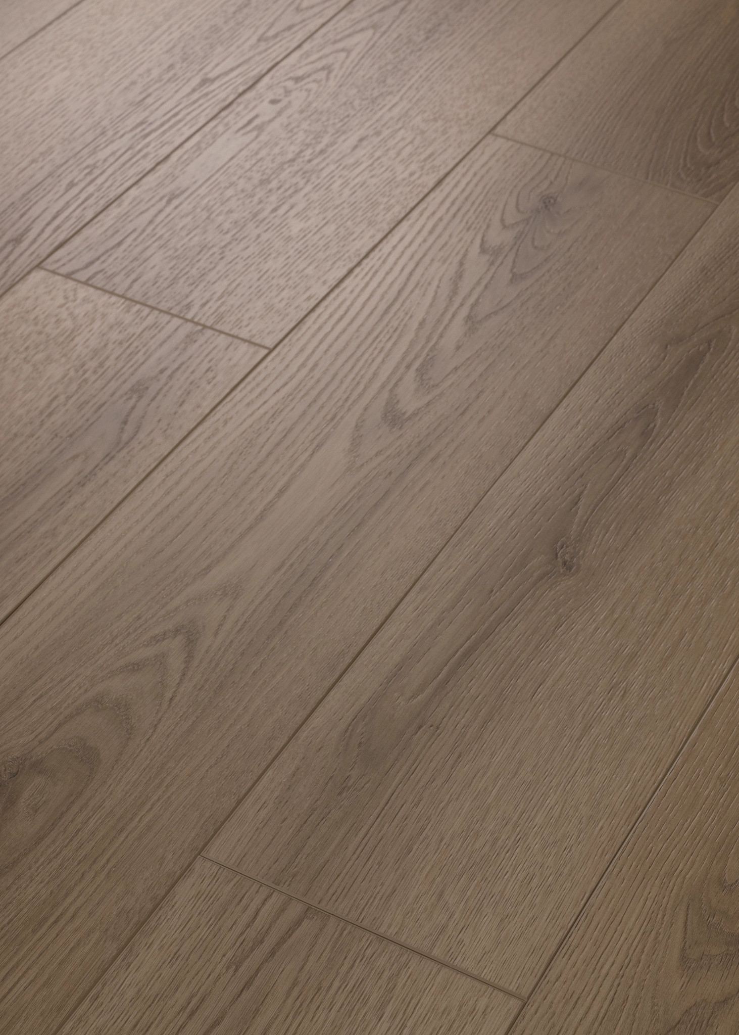 HOMEBOUND MOCHA ANGLED