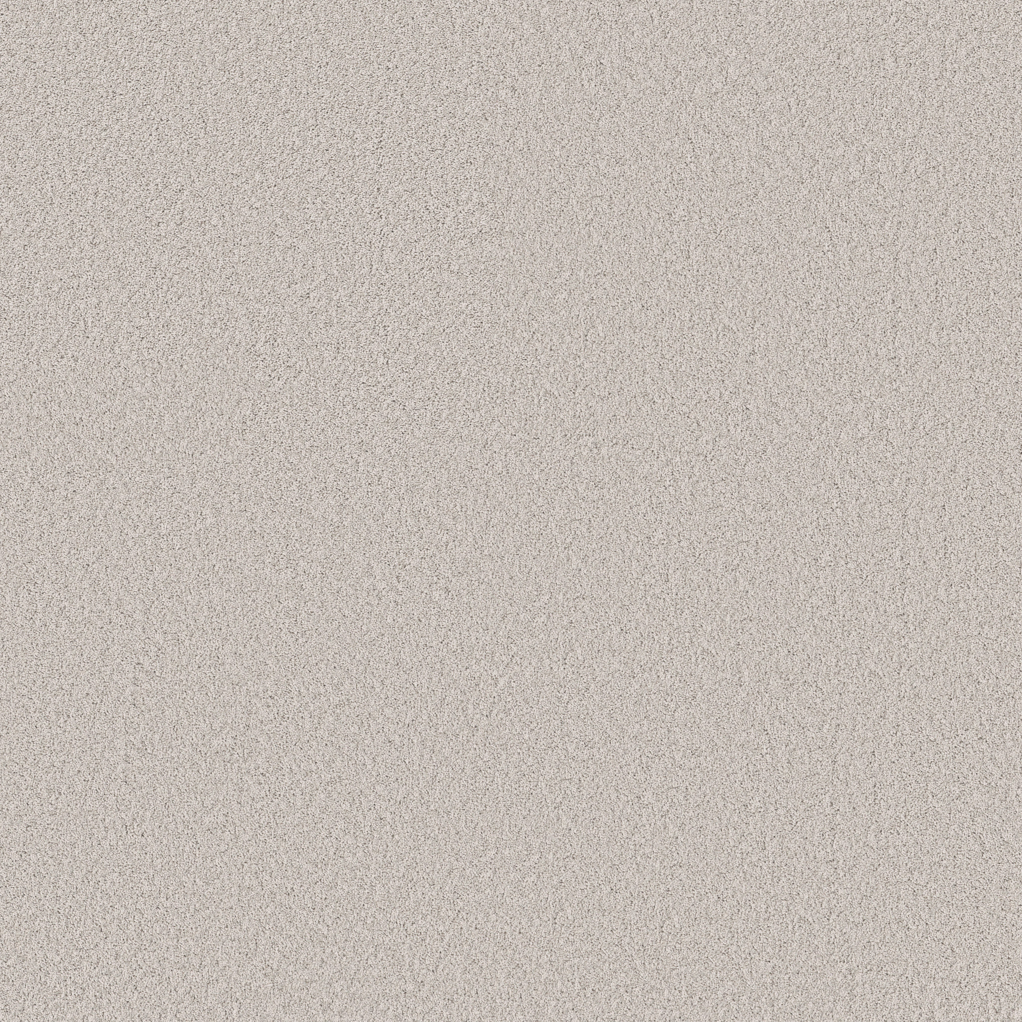 PURE AFFECTION S LIGHT YEAR MAIN