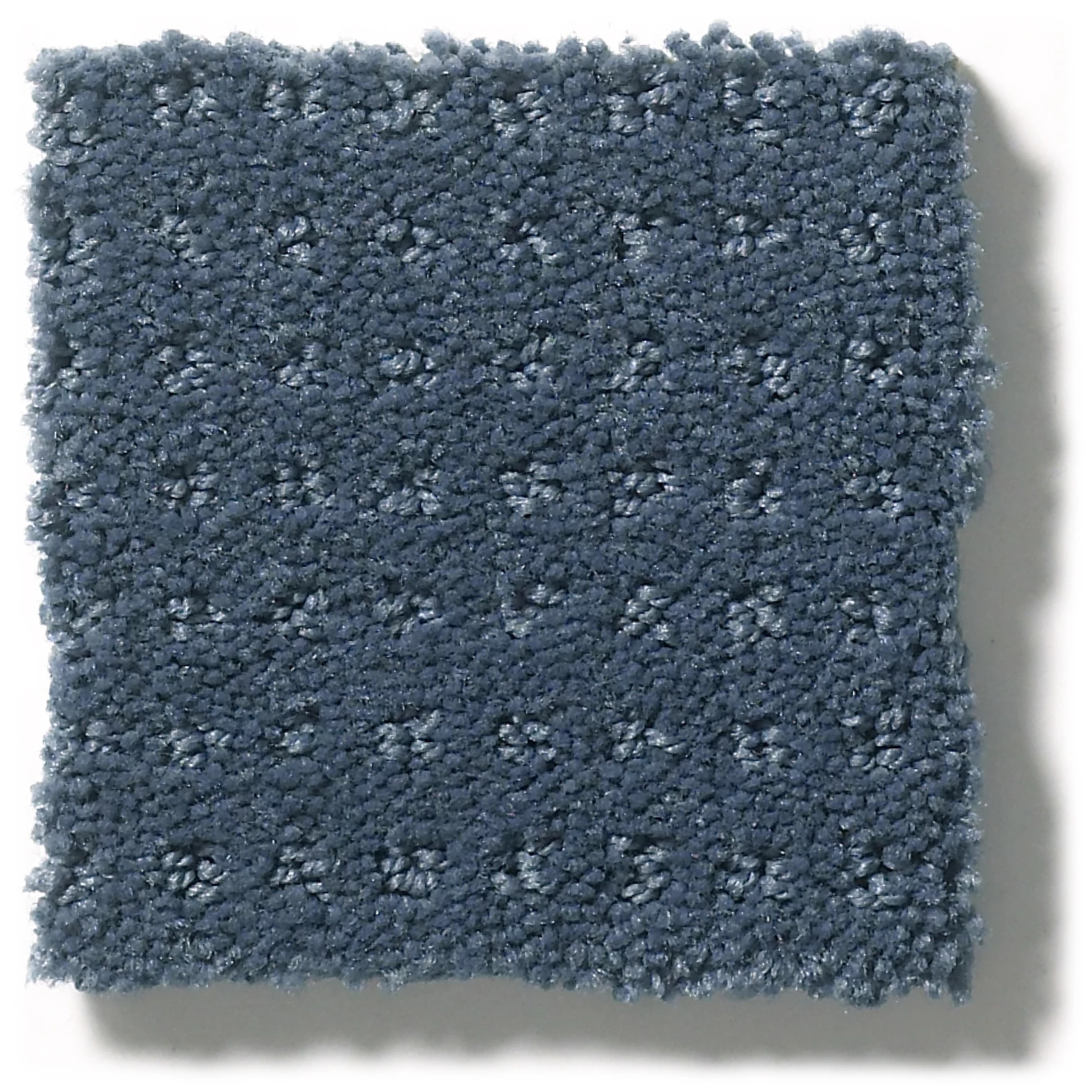 ALLURING DISPOSITION ROYAL NAVY SWATCH