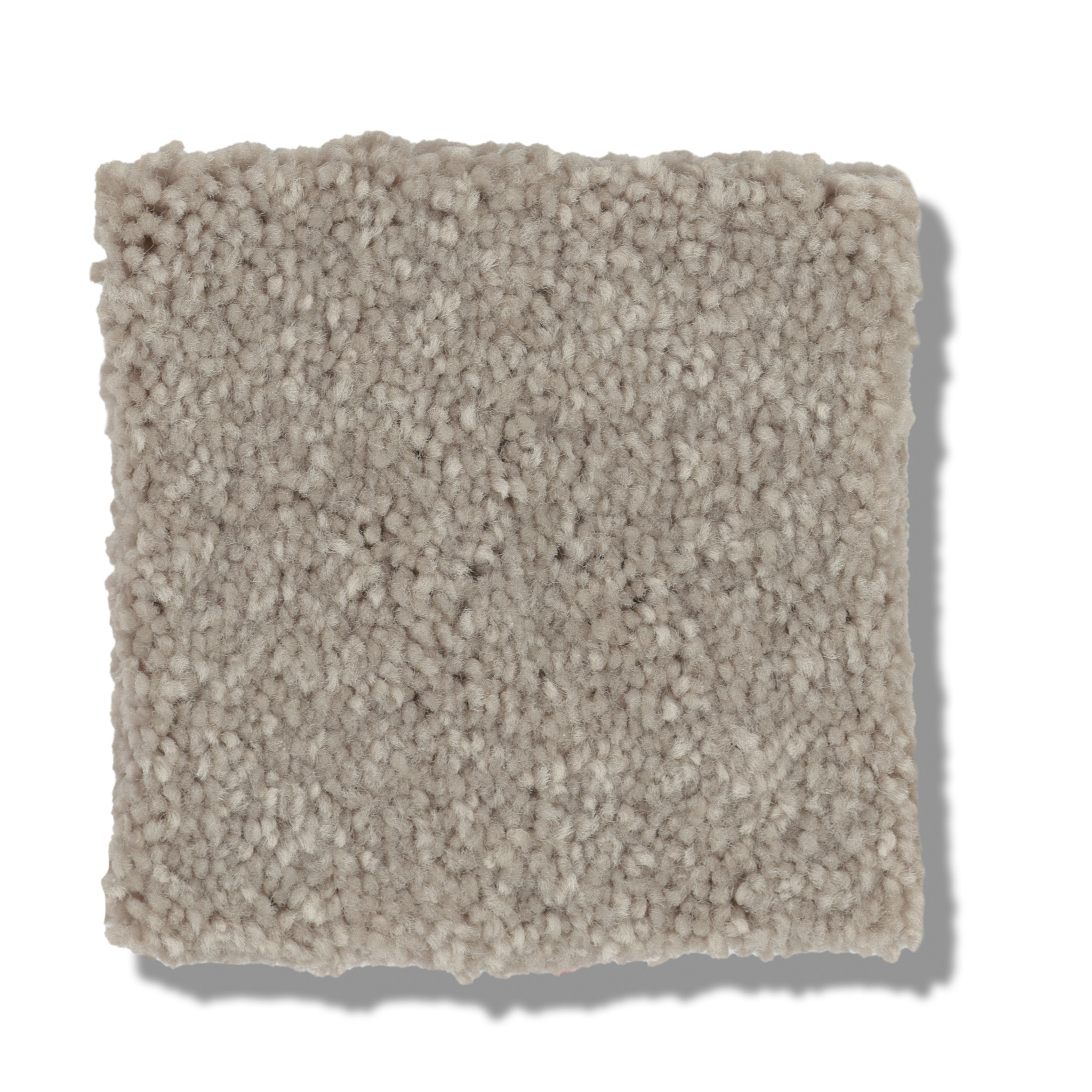 WELL GROUNDED II 15 GREIGE SWATCH