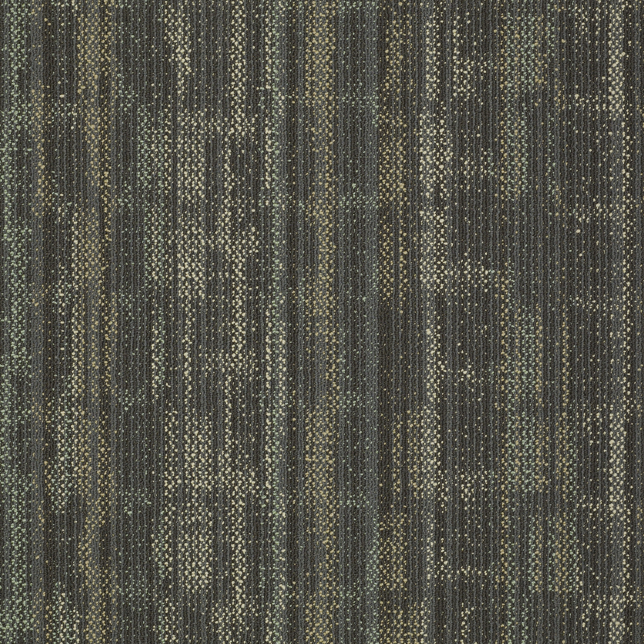 WONDER-54756-EMBRACE-WISDOM-00510-main-image