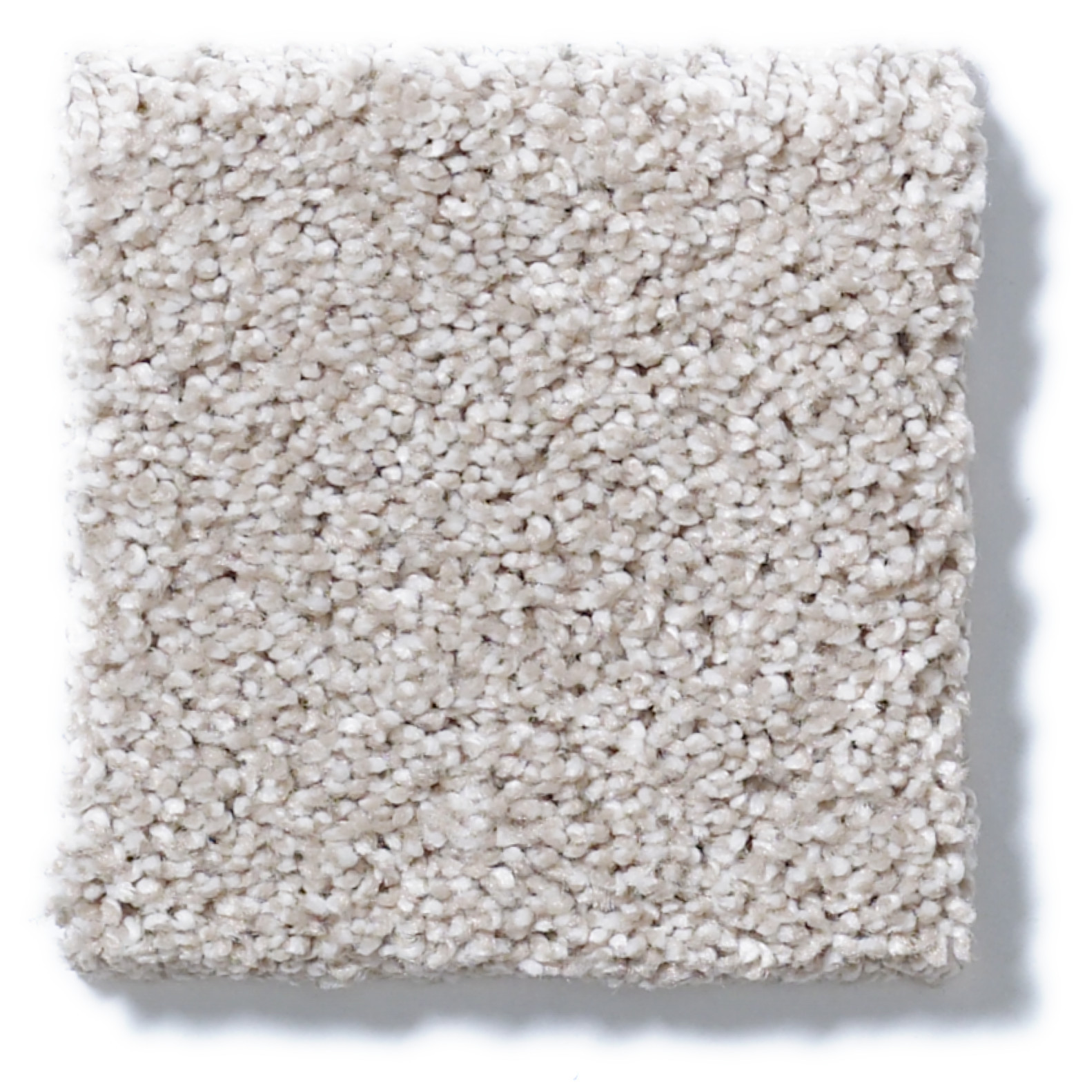 ALWAYS READY I STUDIO TAUPE SWATCH