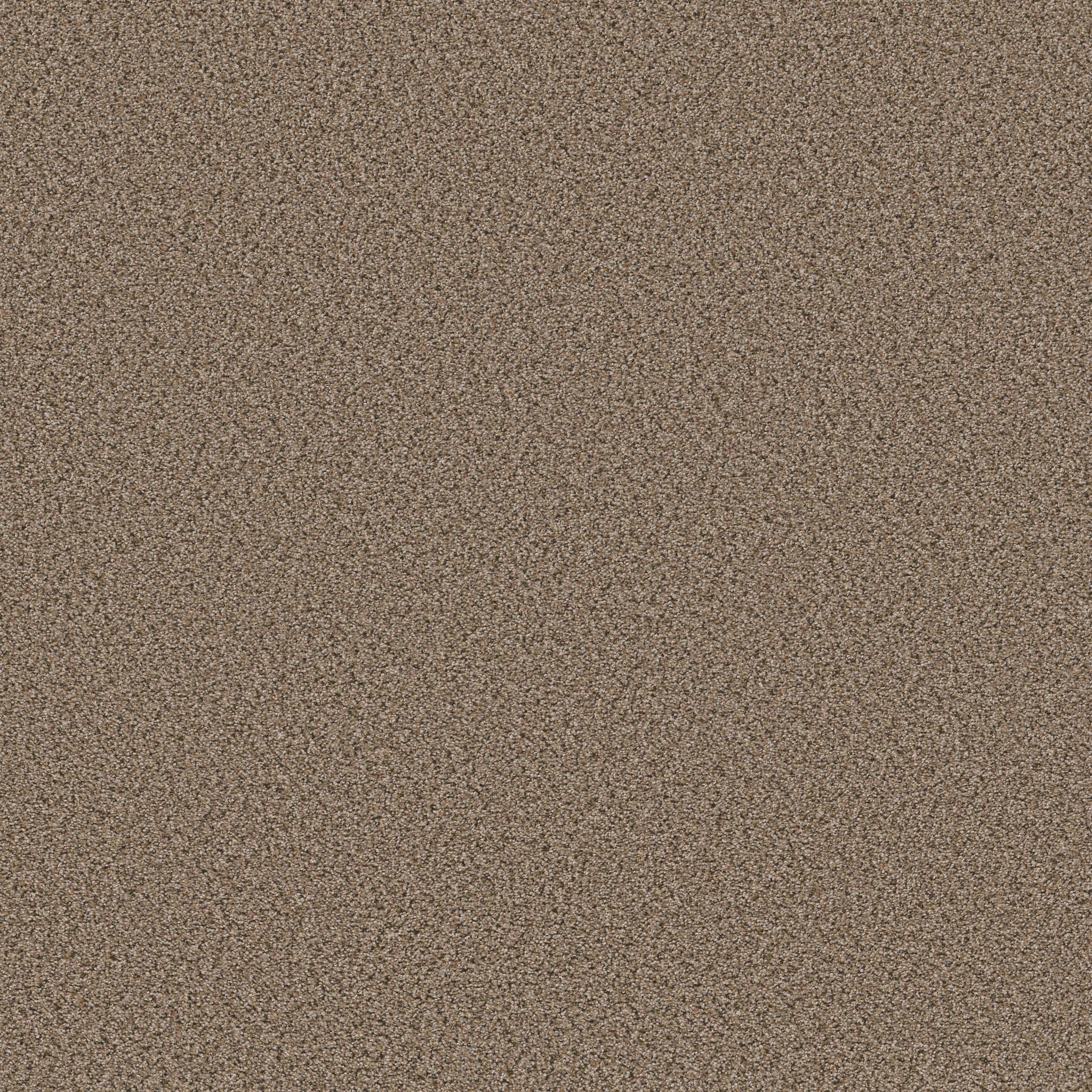 ELEMENTAL MIX I ARROWHEAD MAIN