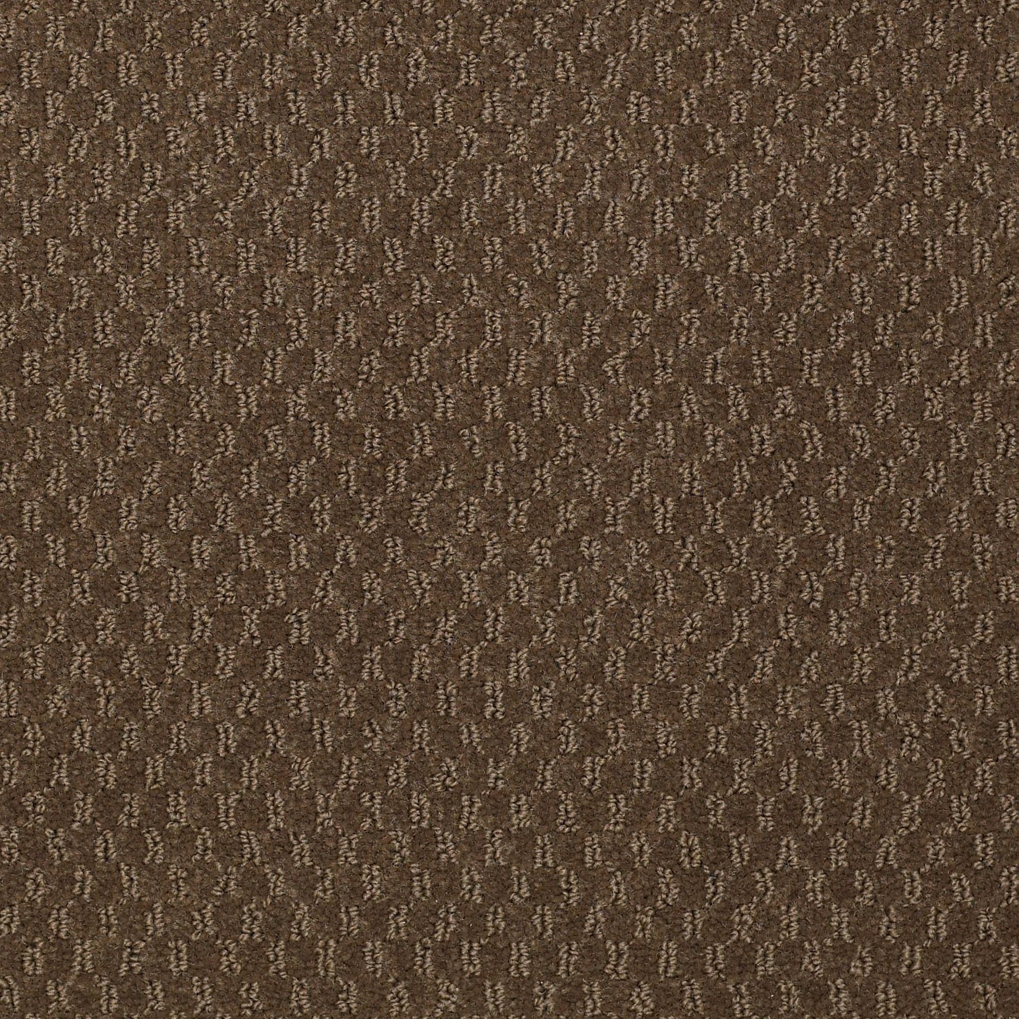 ELEMENTS-Q0421-SECRET-GARDEN-21352-main-image