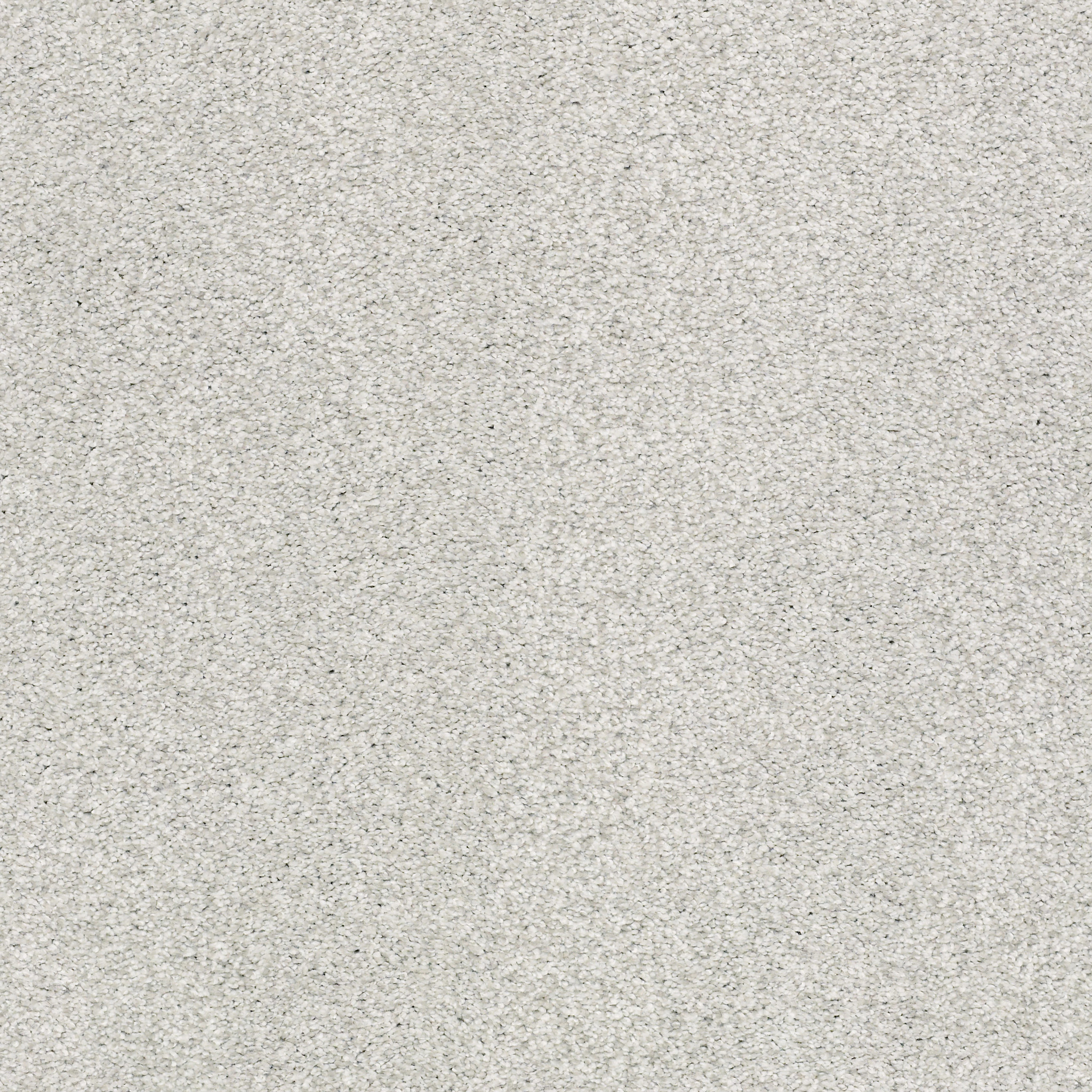 AG SENSATIONAL NICKEL MAIN