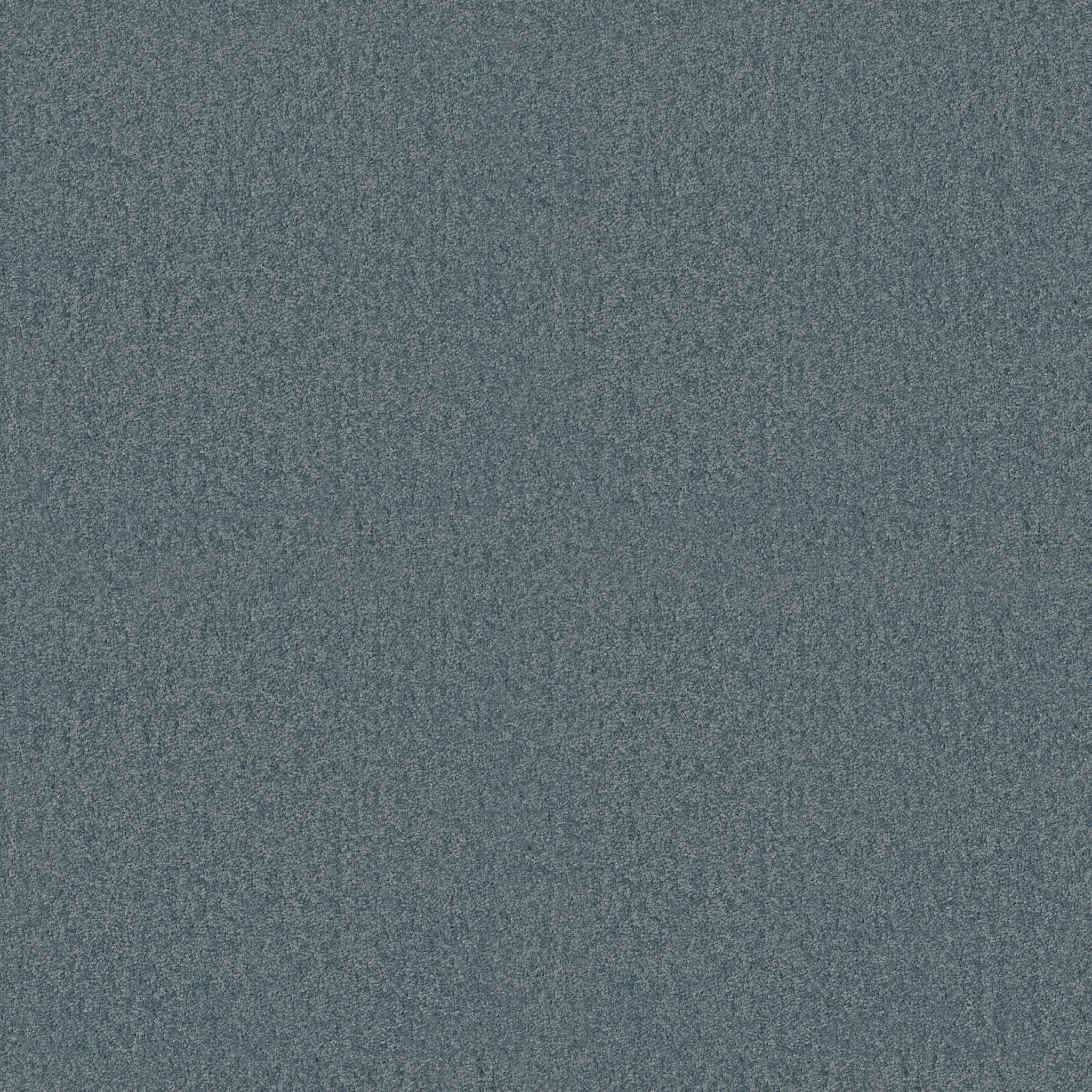 ESSAY II 15' BAHAMA BAY MAIN