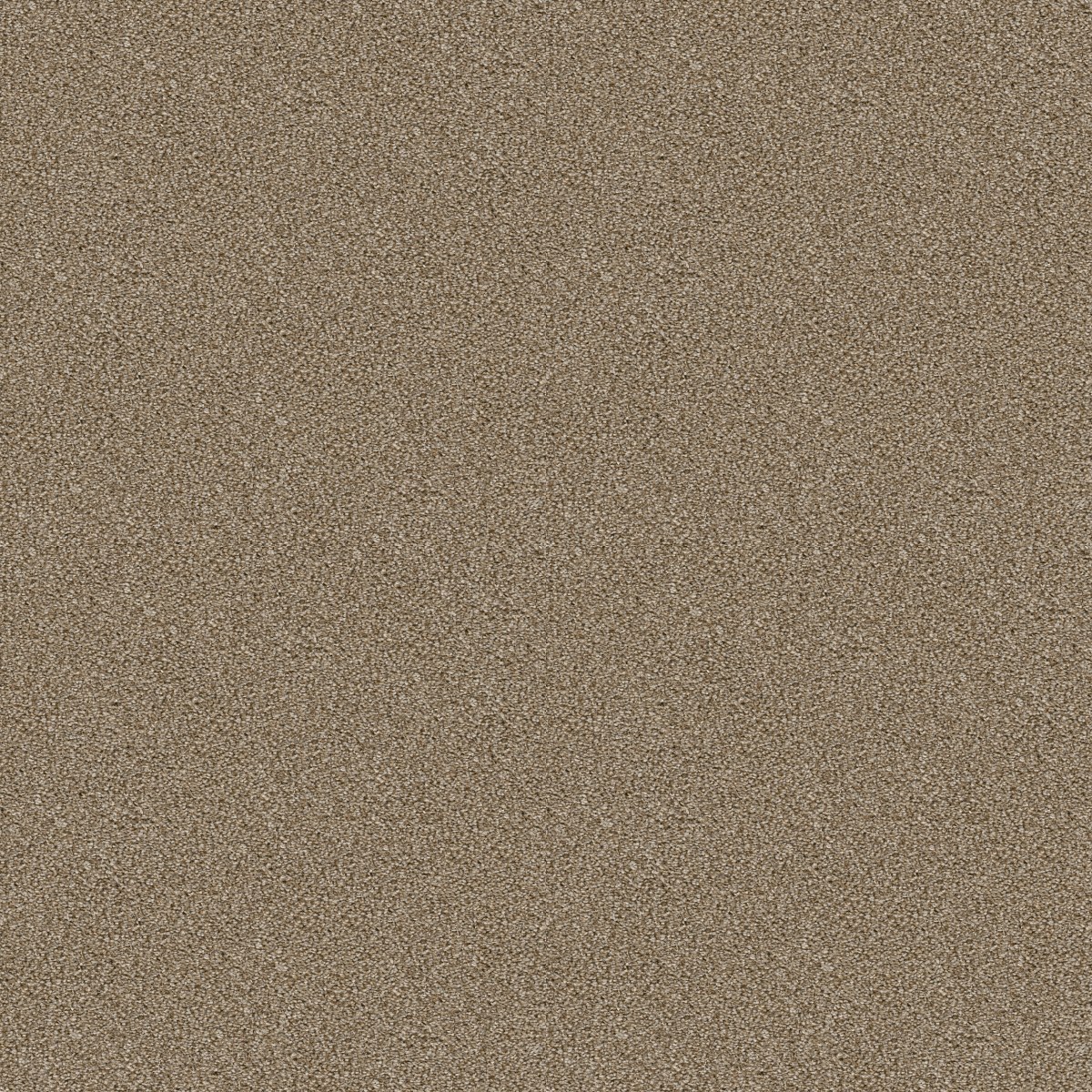 CABANA BAY TONAL — DRIED CLAY