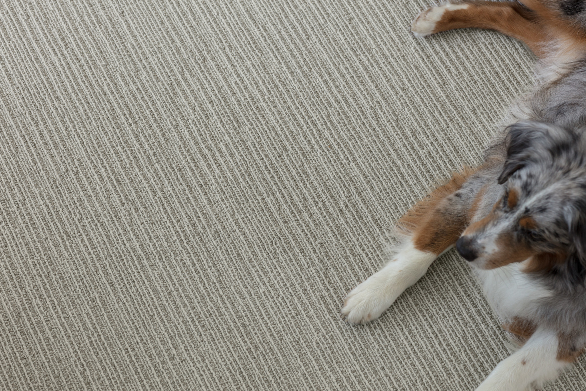 CHASE BRIARWOOD StaticImage07