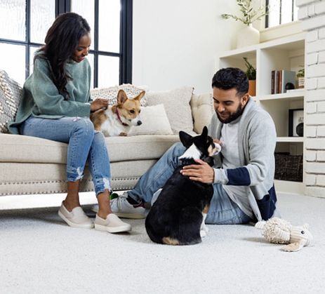 A couple spending time with their puppies in a carpeted living room