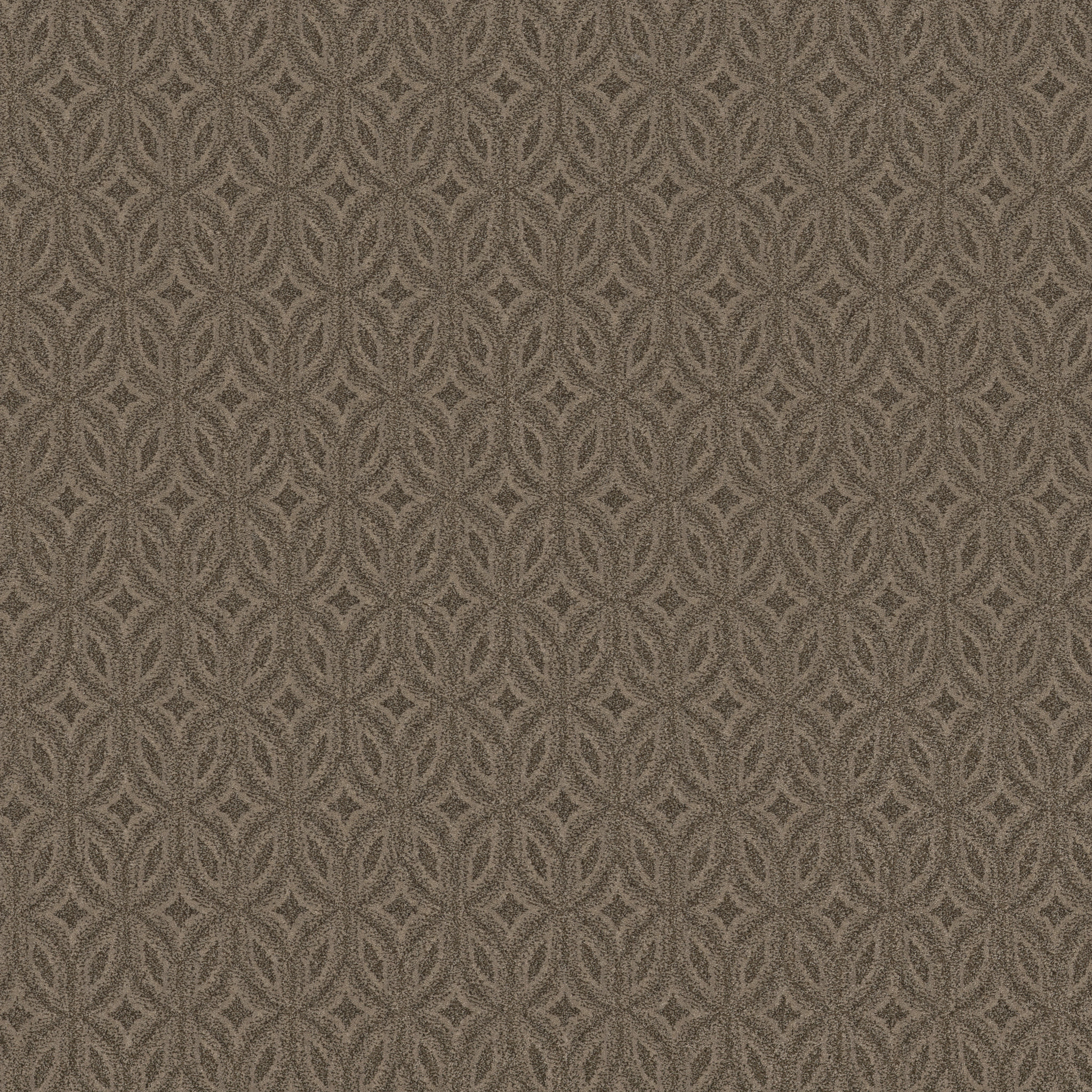 ENLIGHTENED ARROWHEAD MAIN