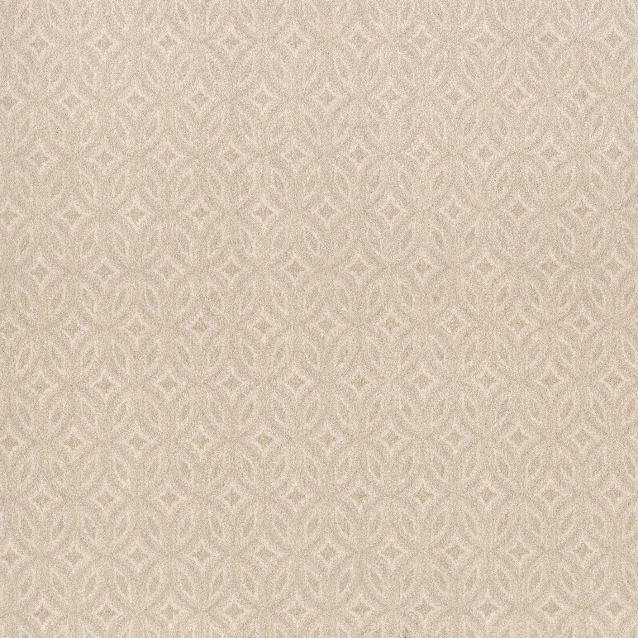 WILLIAMS SONOMA ベージュエプロン 新品 org.jpg