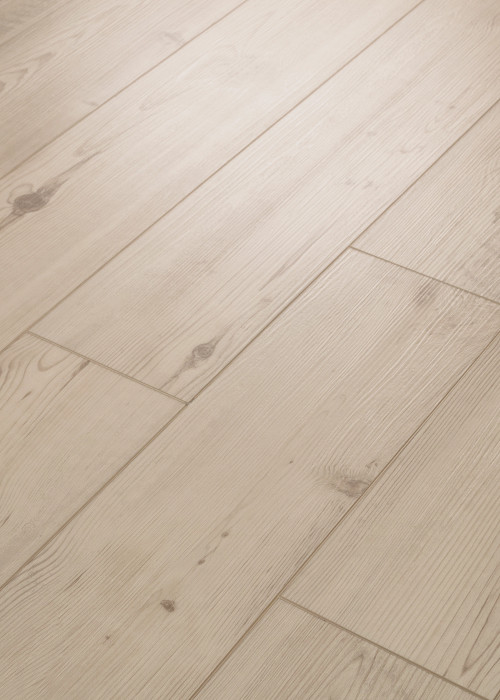 Galleria Pine