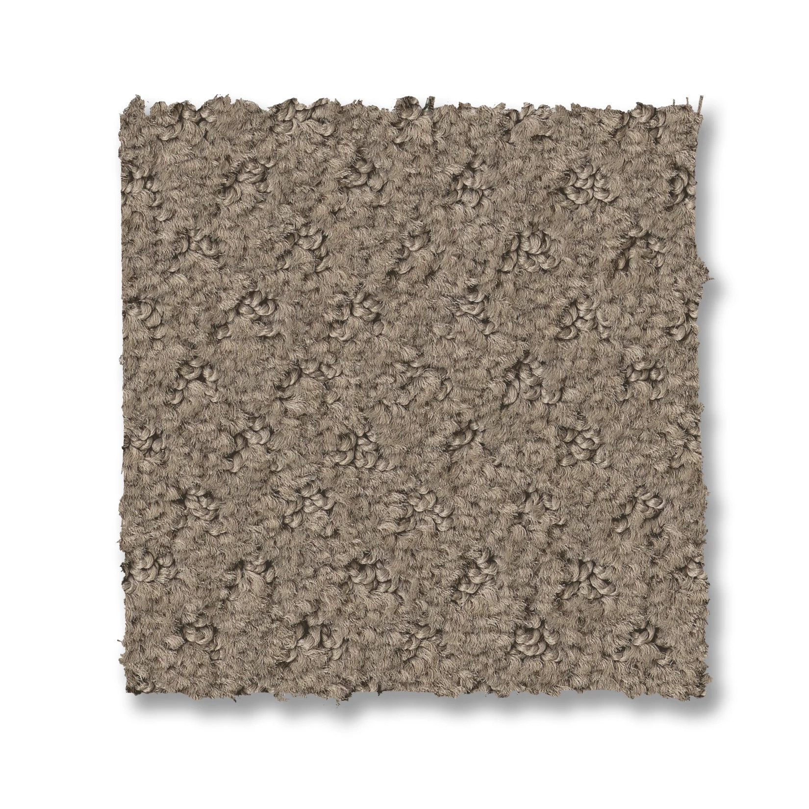 DEL VISTA SHITAKE SWATCH