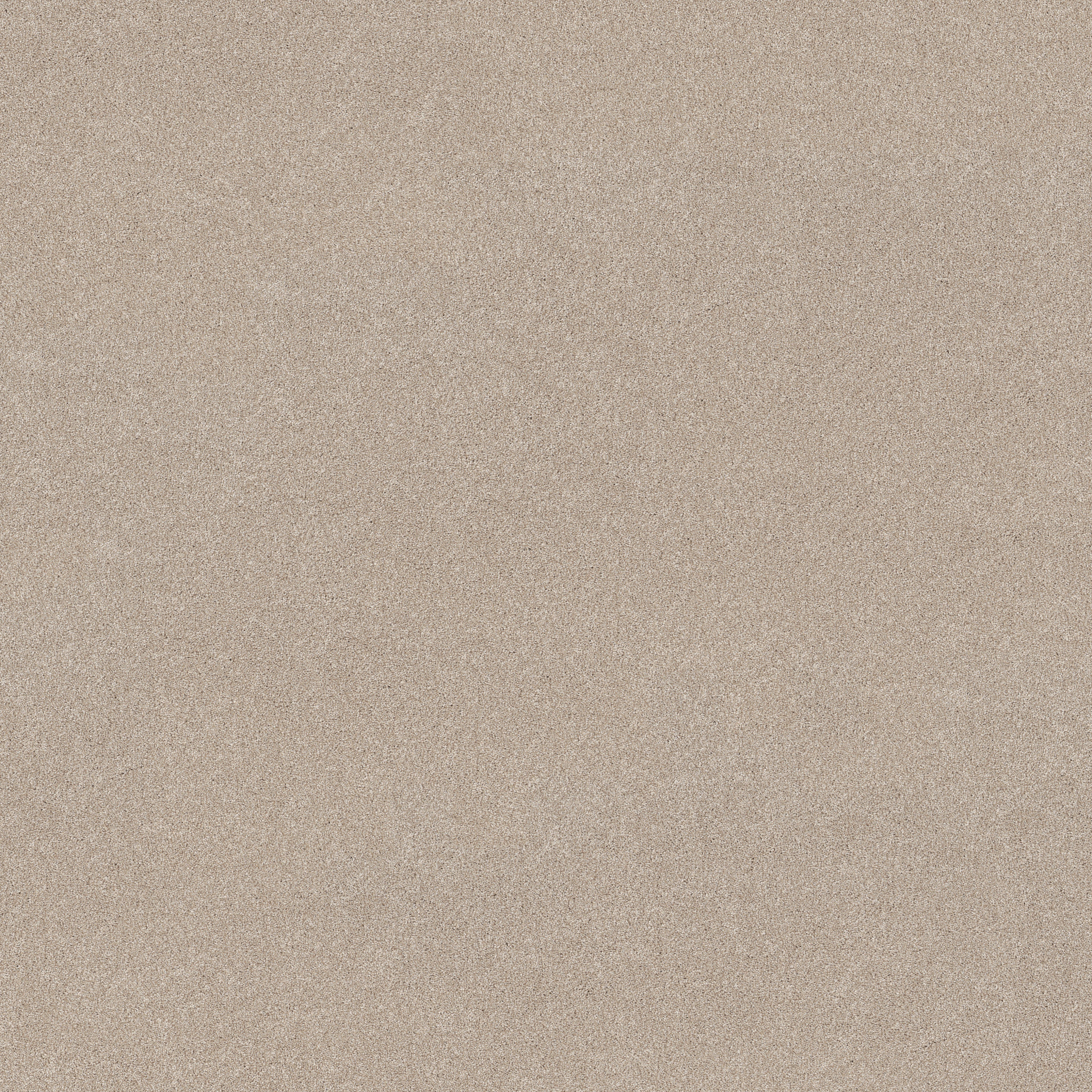 VIVID TOUCH II CAFE LATTE MAIN