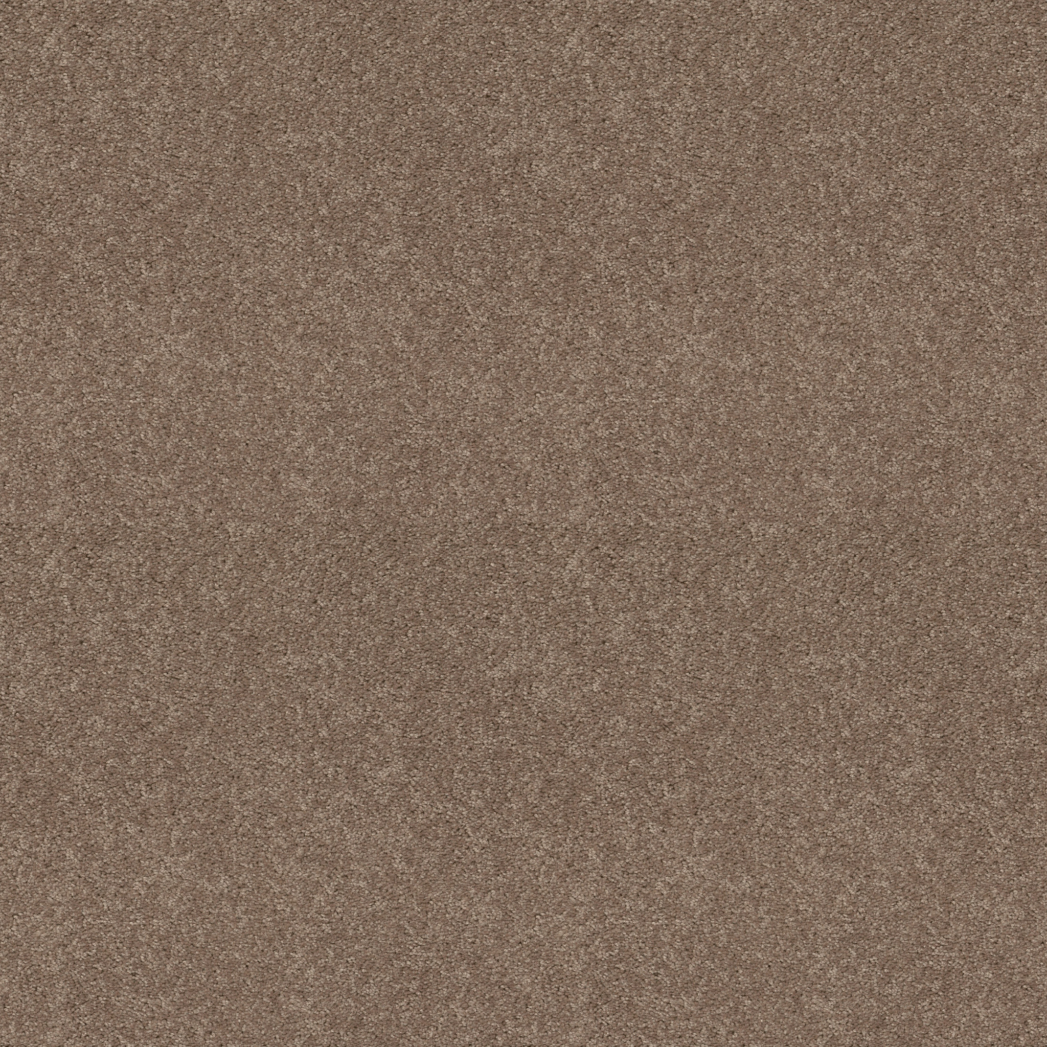 LACONA 12' TAUPE MIST MAIN