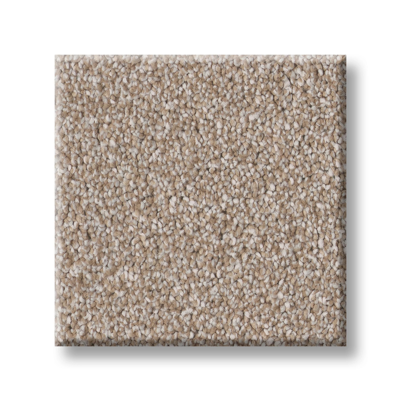 CLASSIC TONE BLUE LATTE SWATCH
