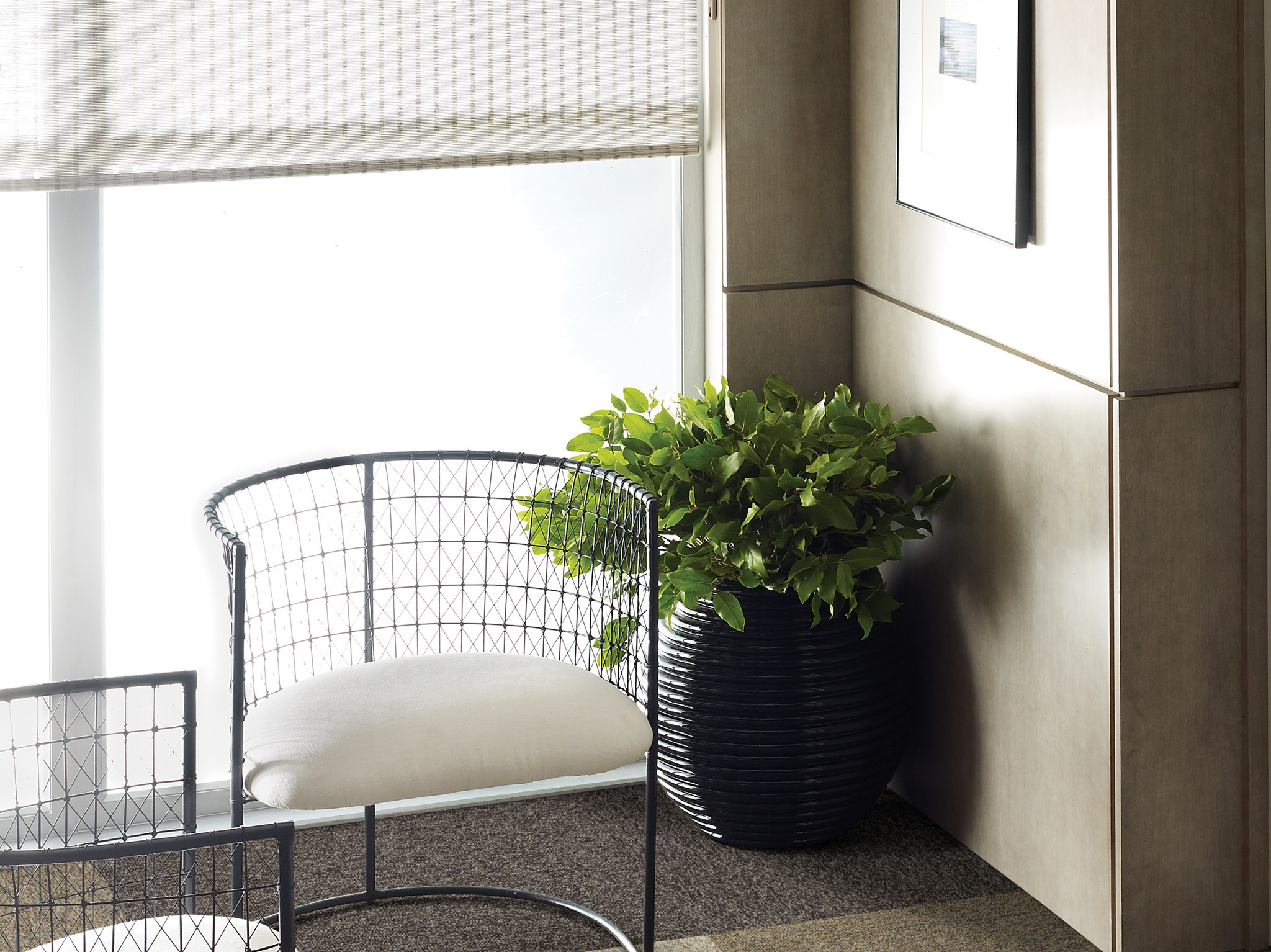 MULTIPLICITY-24X24-54594-BATCH-00500-room-image