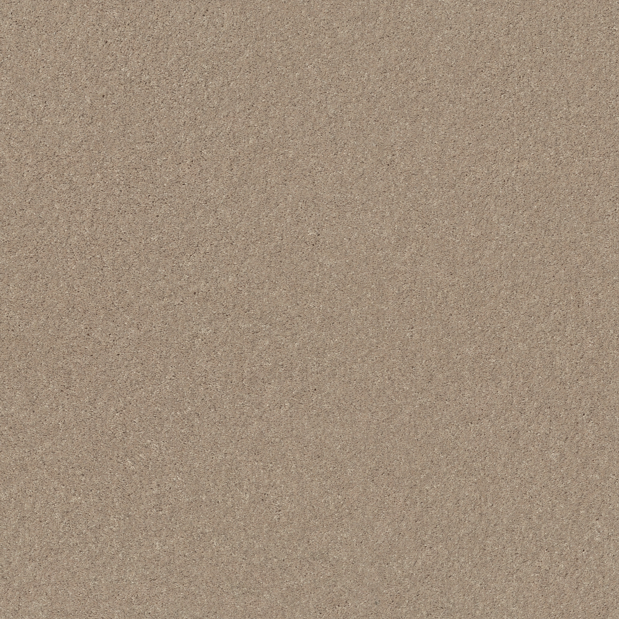 TURN THE PAGE II 15' ALMOND BARK MAIN