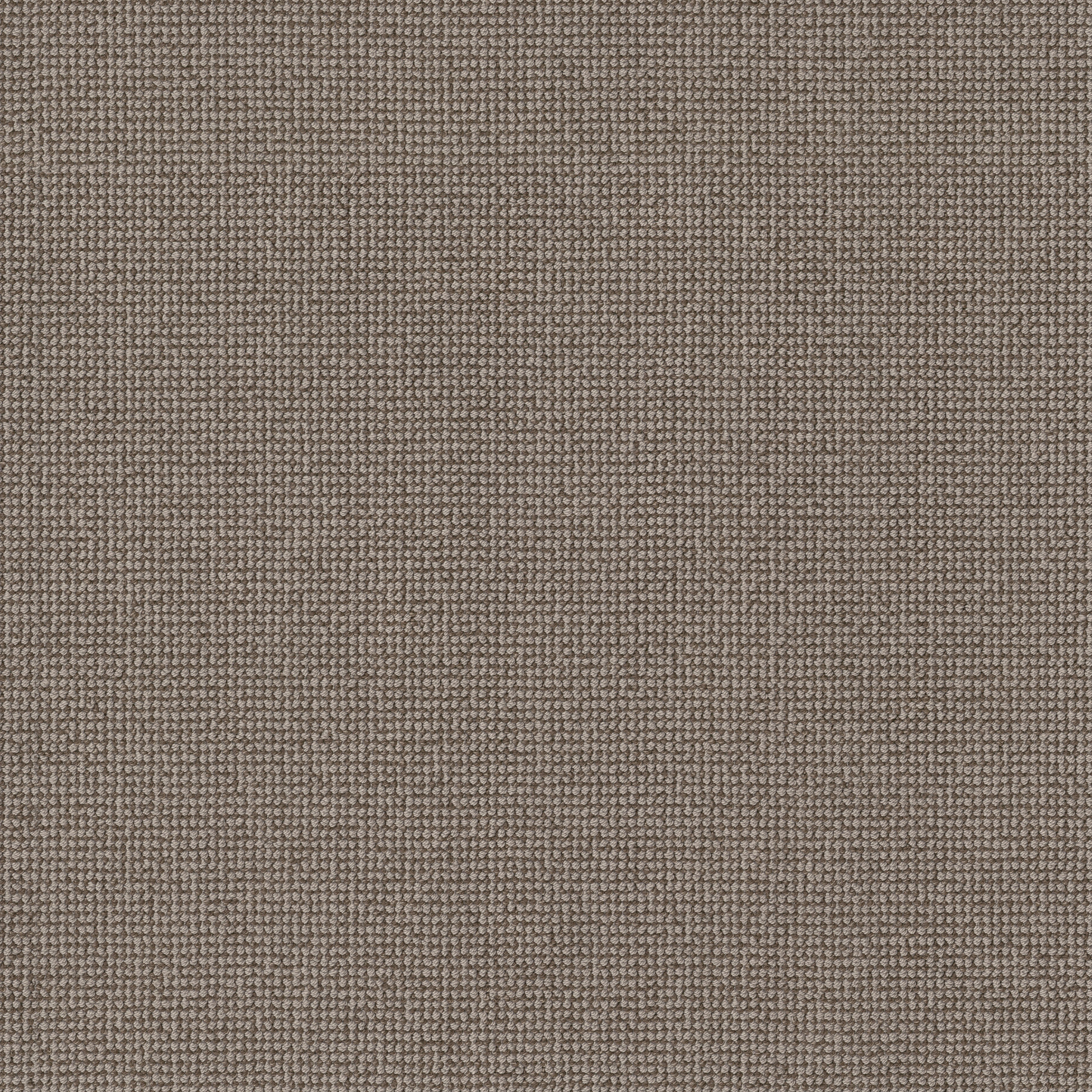 ALLURING MOHAIR MAIN